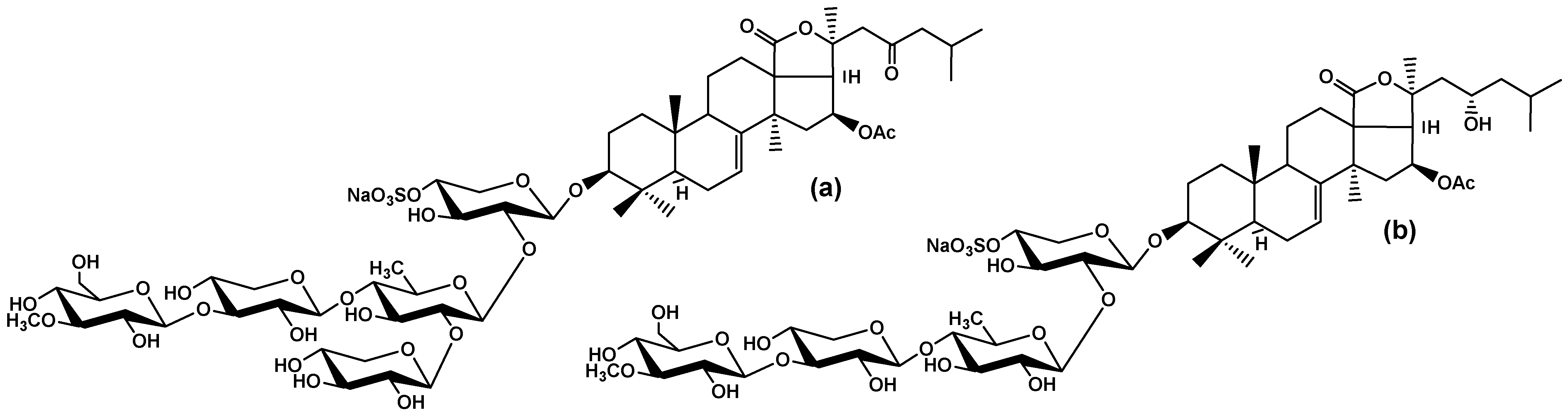 Marinedrugs 22 00474 g001