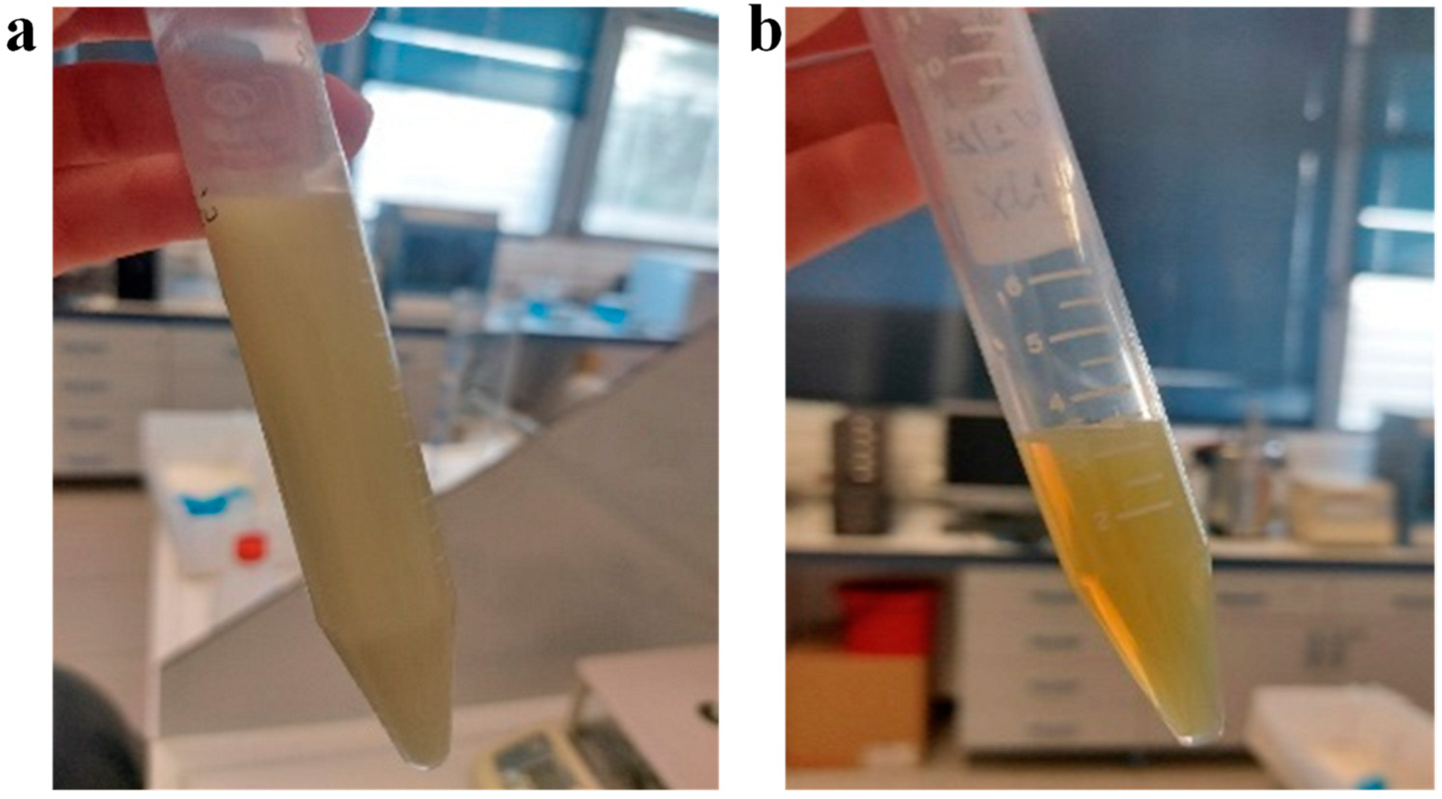 Marinedrugs 22 00487 g001