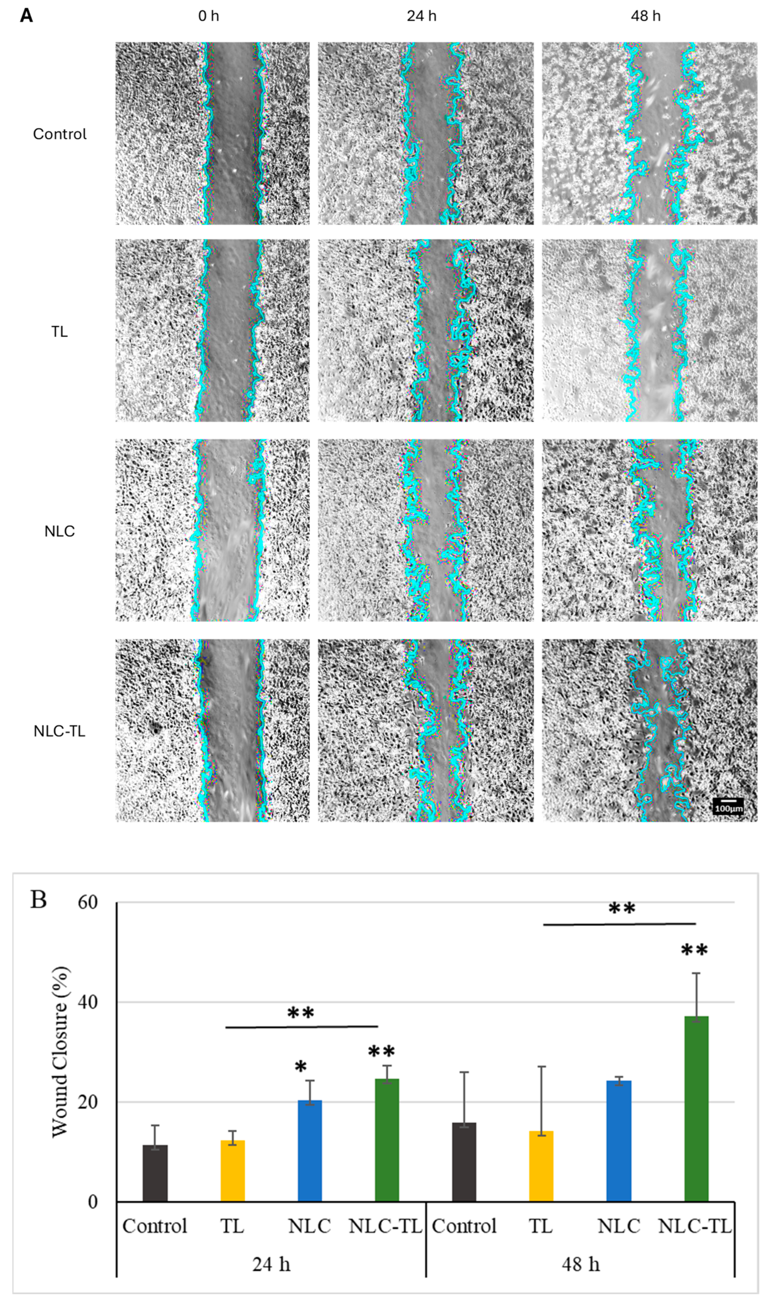 Marinedrugs 22 00487 g006