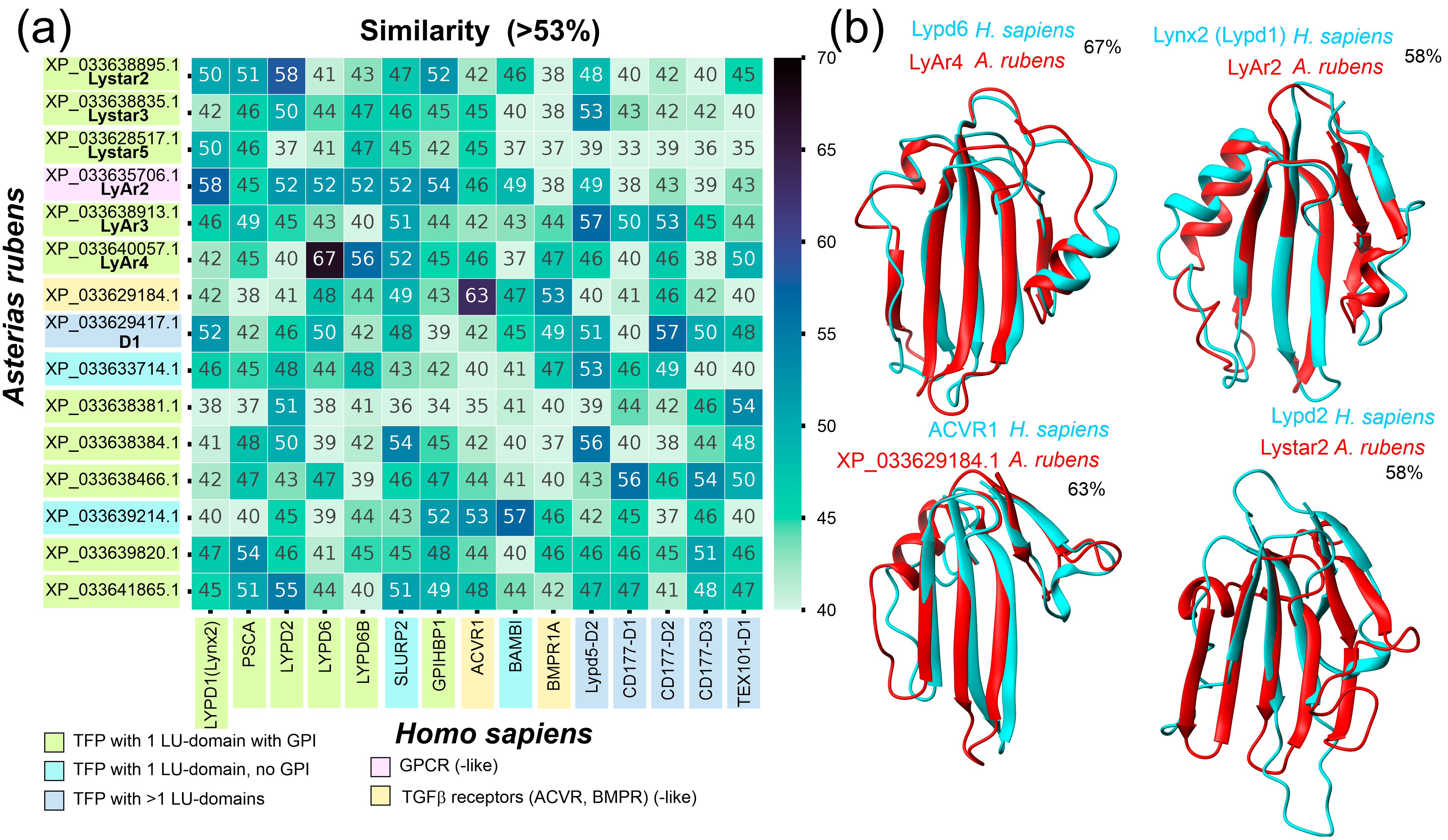 Marinedrugs 22 00488 g001