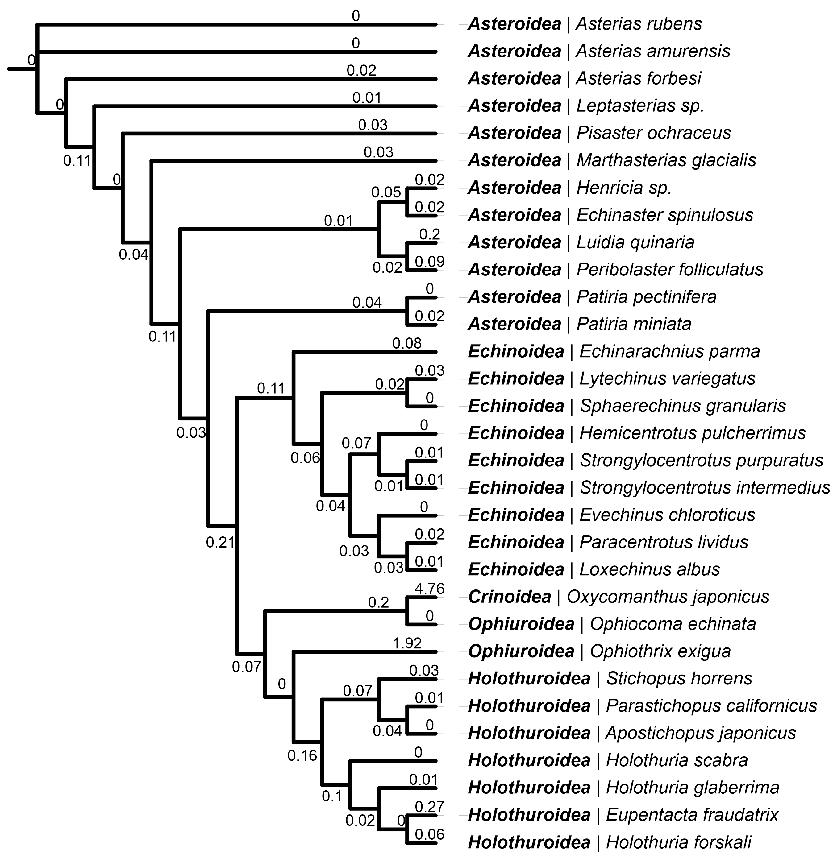 Marinedrugs 22 00488 g003
