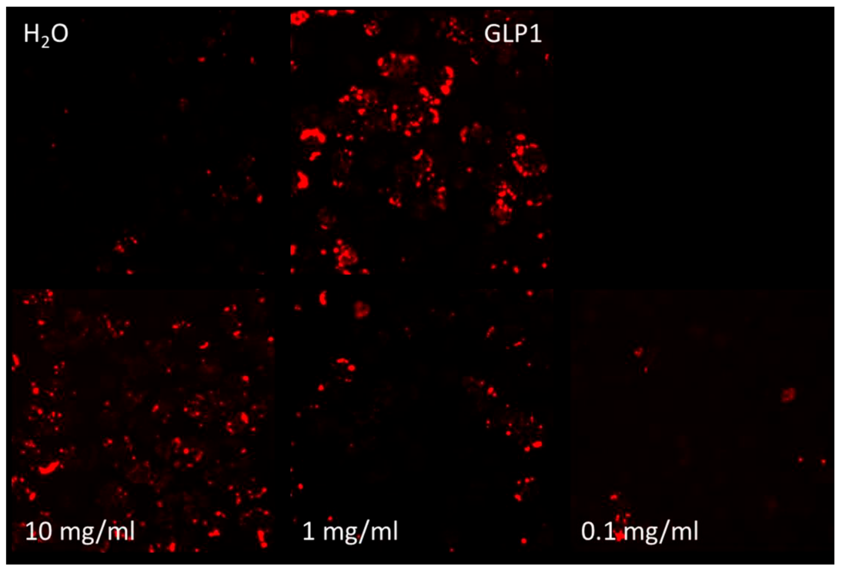 Marinedrugs 22 00490 g001
