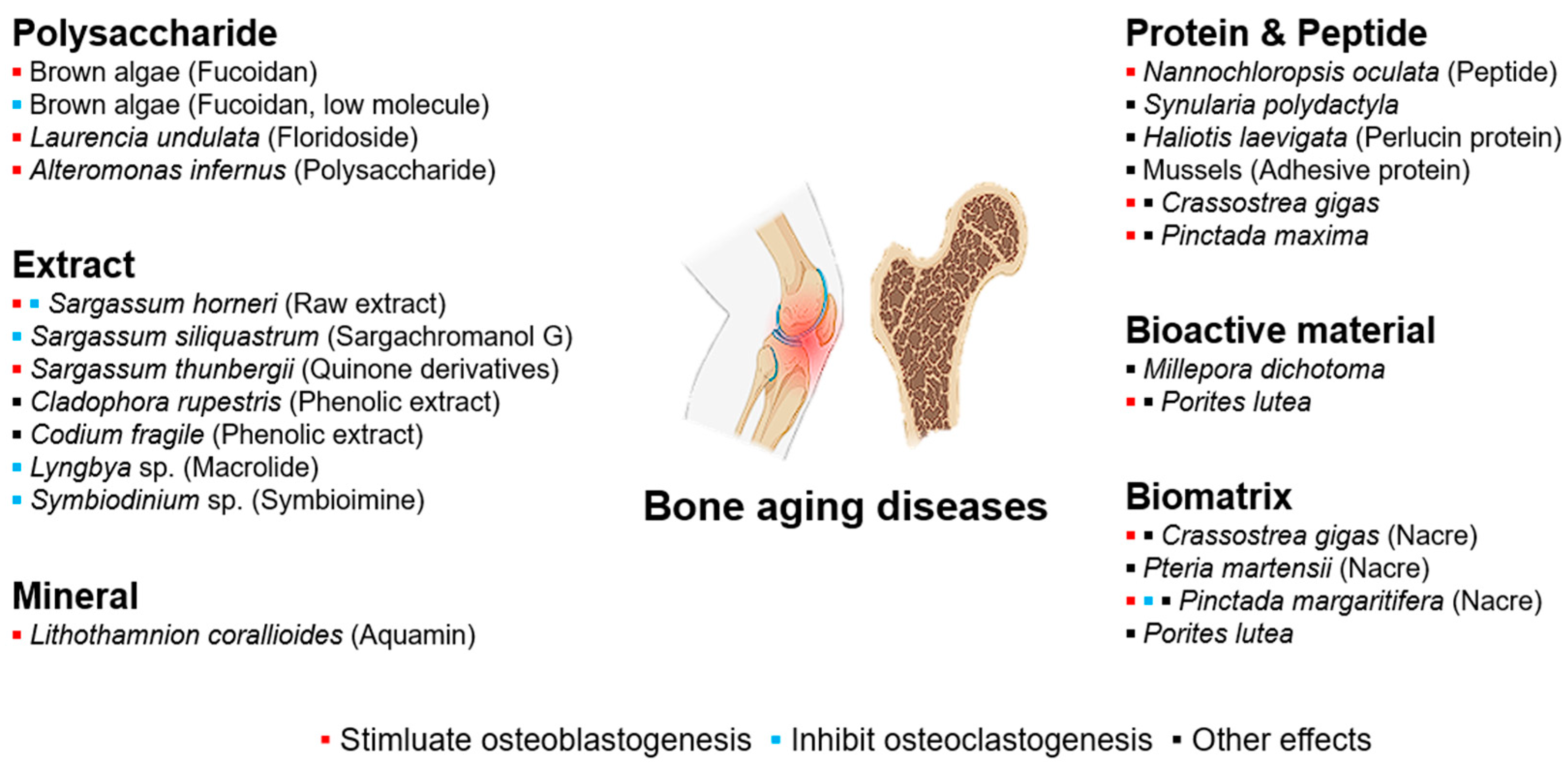 Marinedrugs 22 00496 g004