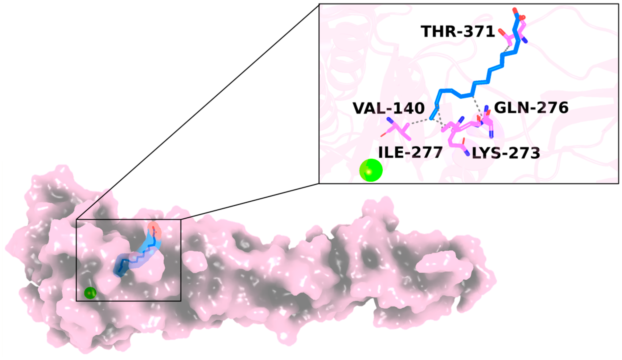 Marinedrugs 22 00511 g001