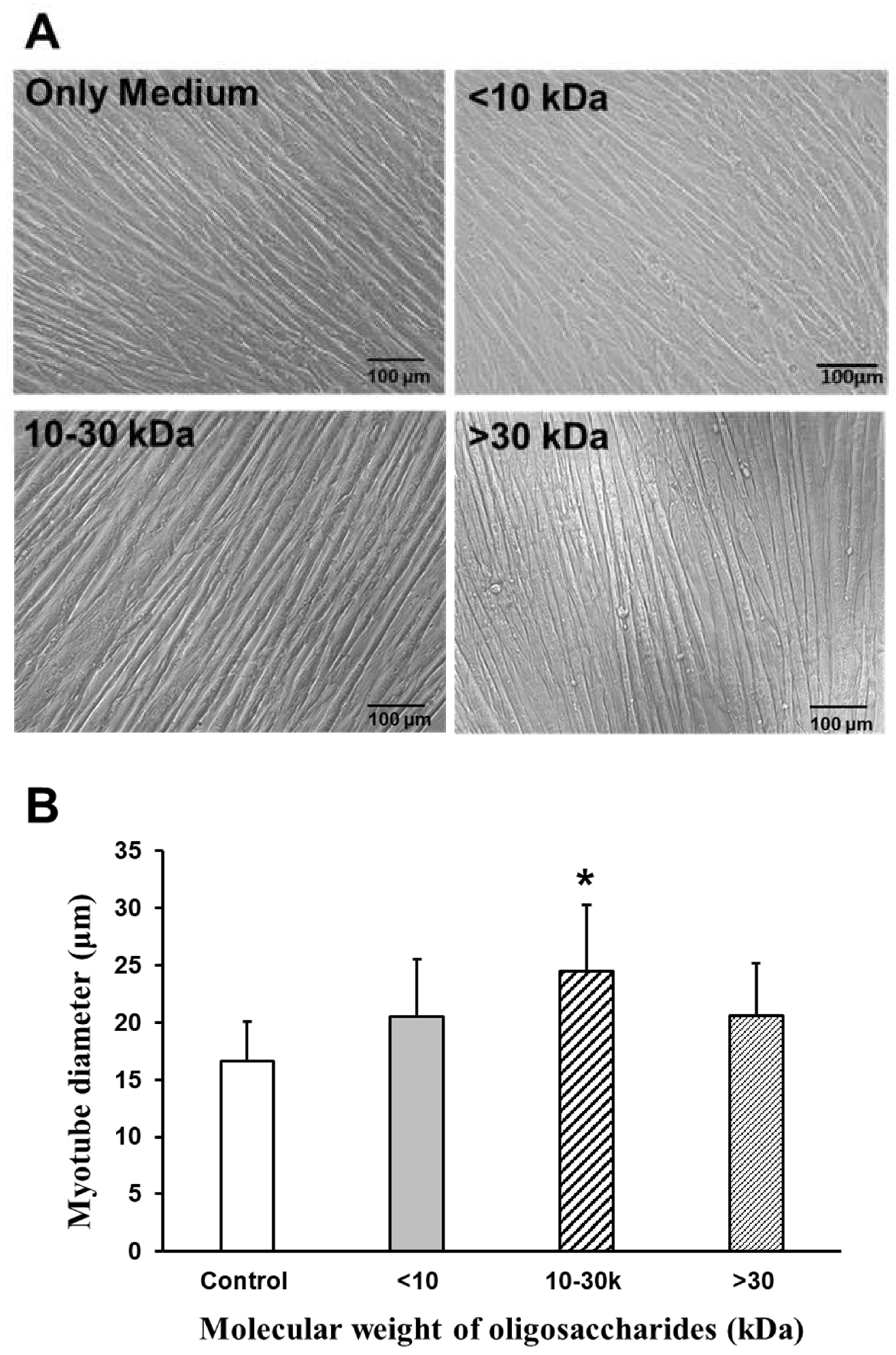 Marinedrugs 22 00515 g005