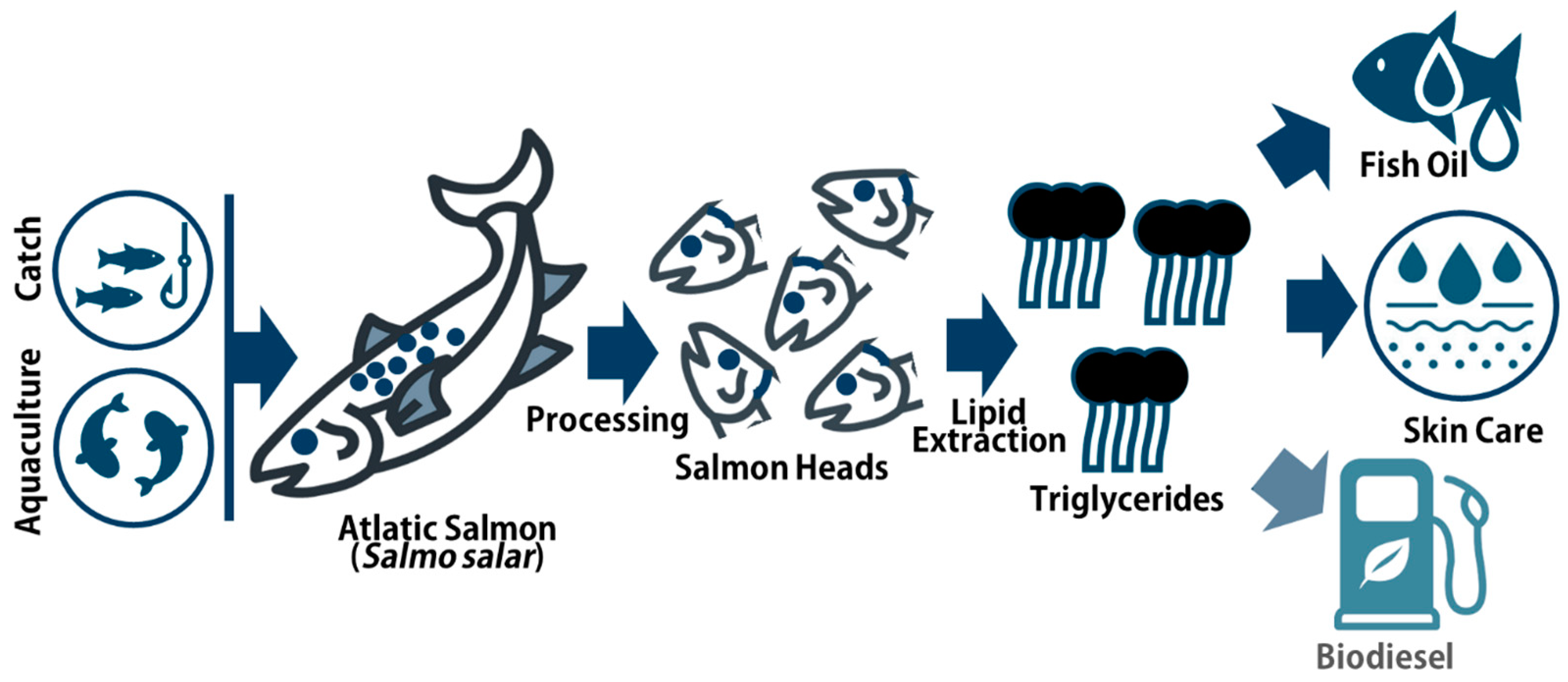 Marinedrugs 22 00518 g005