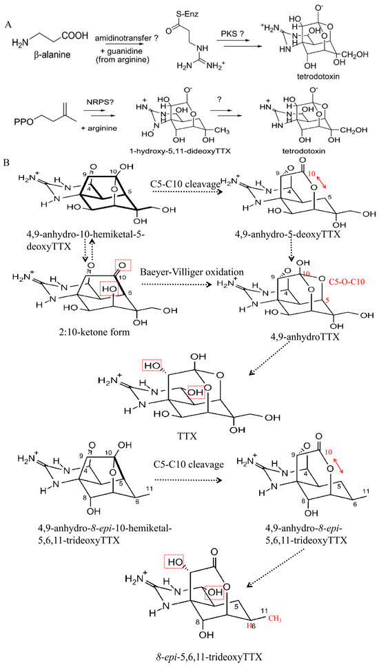 Marinedrugs 22 00531 g004a