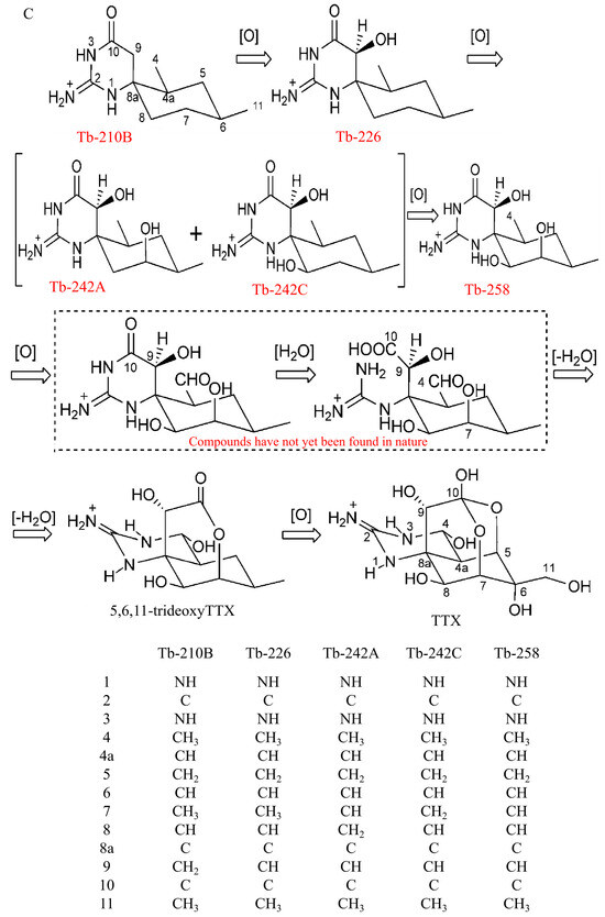Marinedrugs 22 00531 g004b