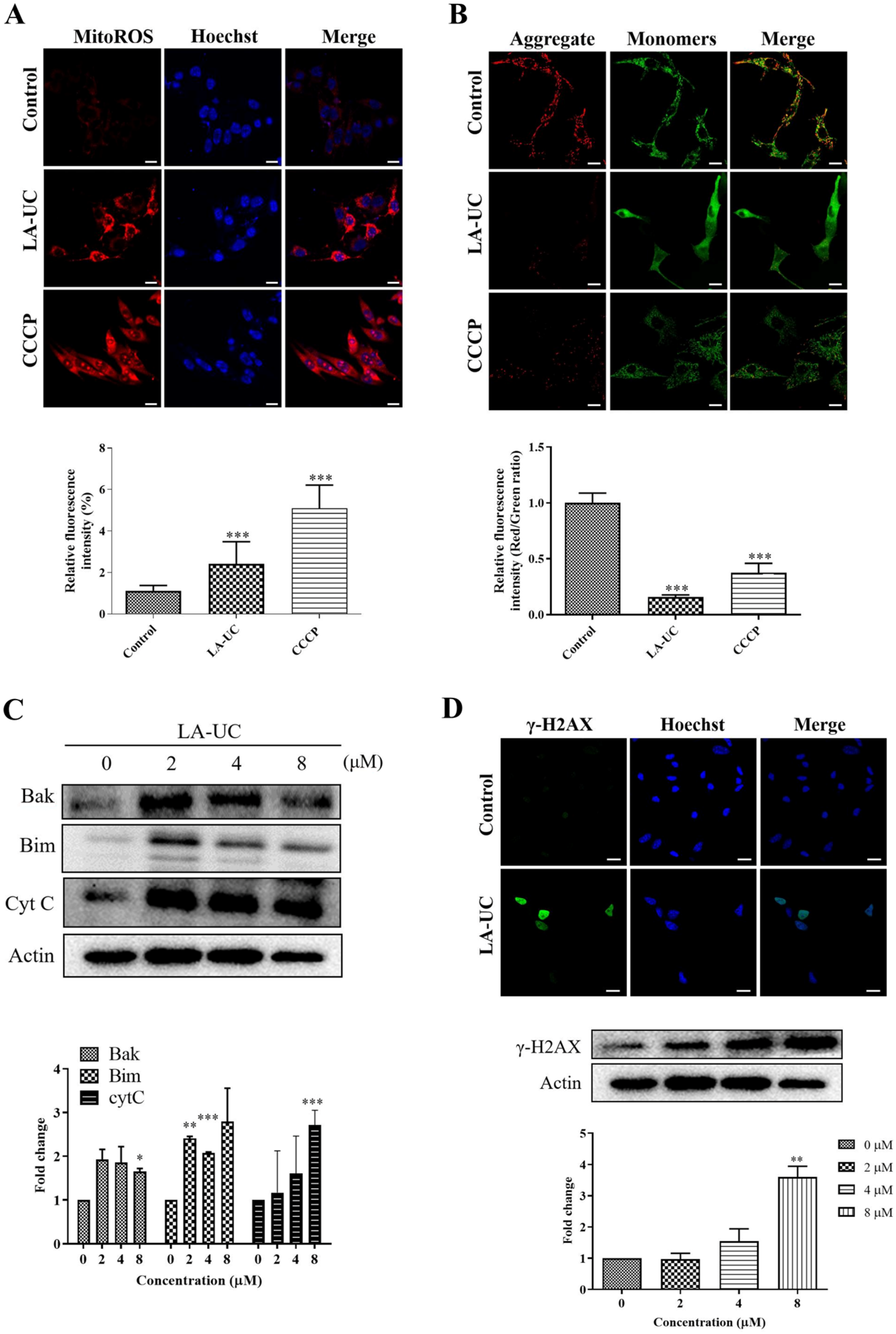 Marinedrugs 22 00533 g005