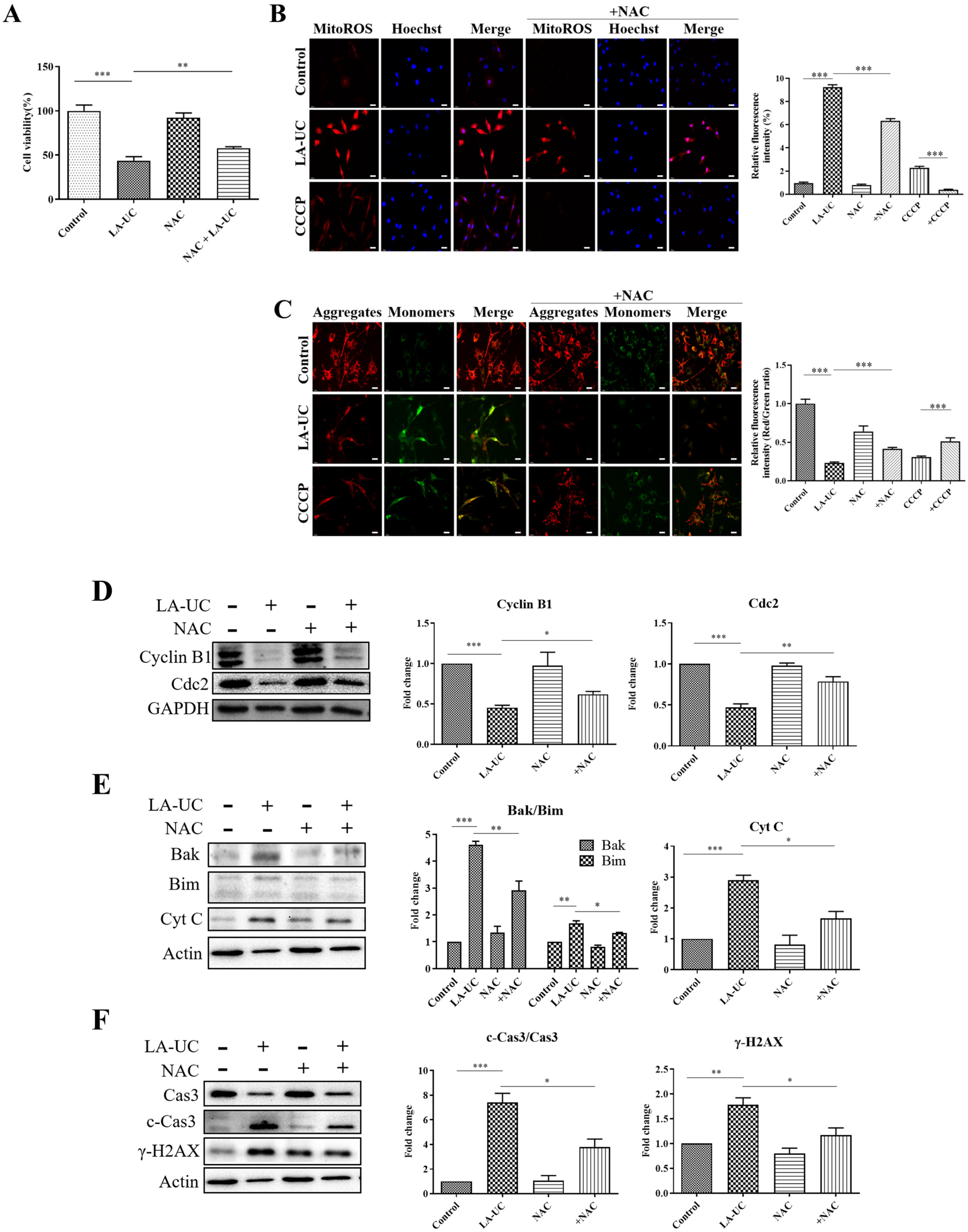 Marinedrugs 22 00533 g006