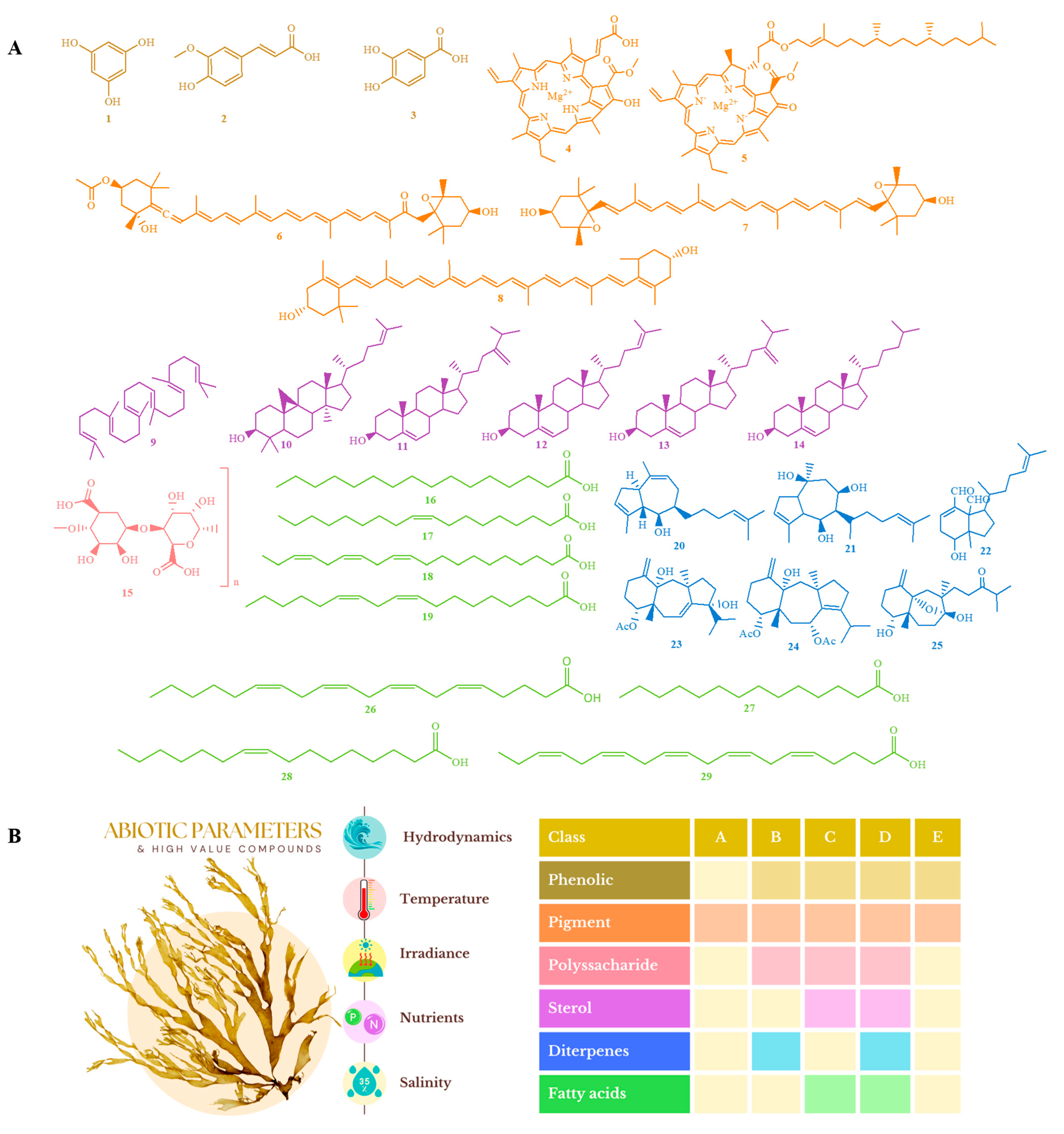 Marinedrugs 22 00544 g002
