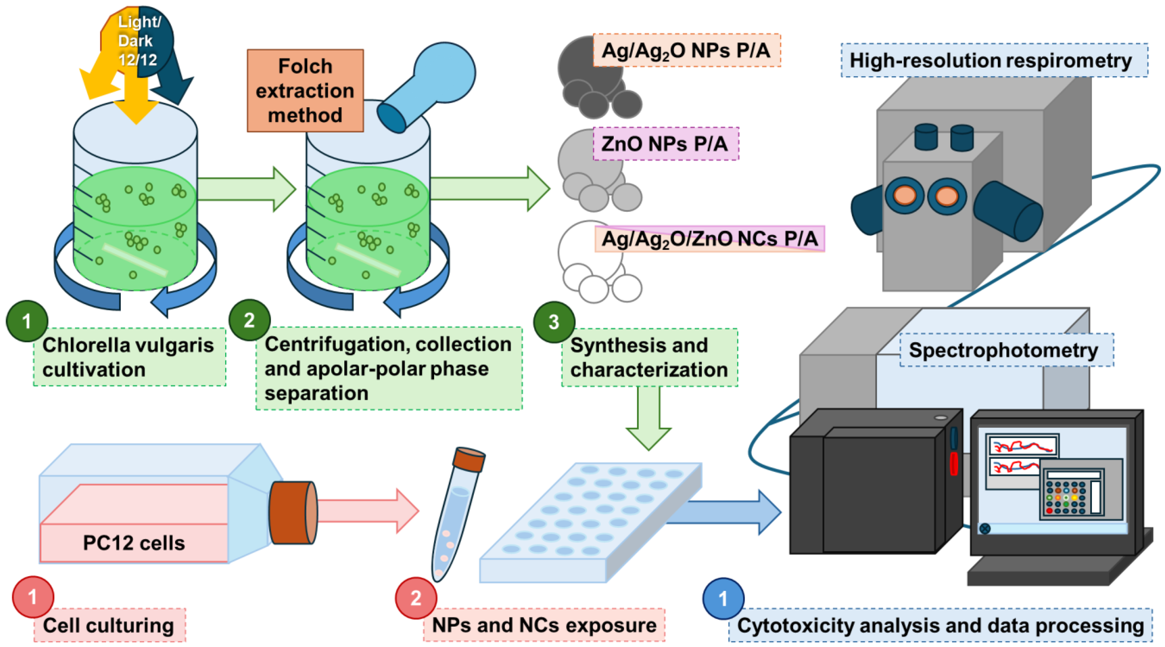 Marinedrugs 22 00549 g001