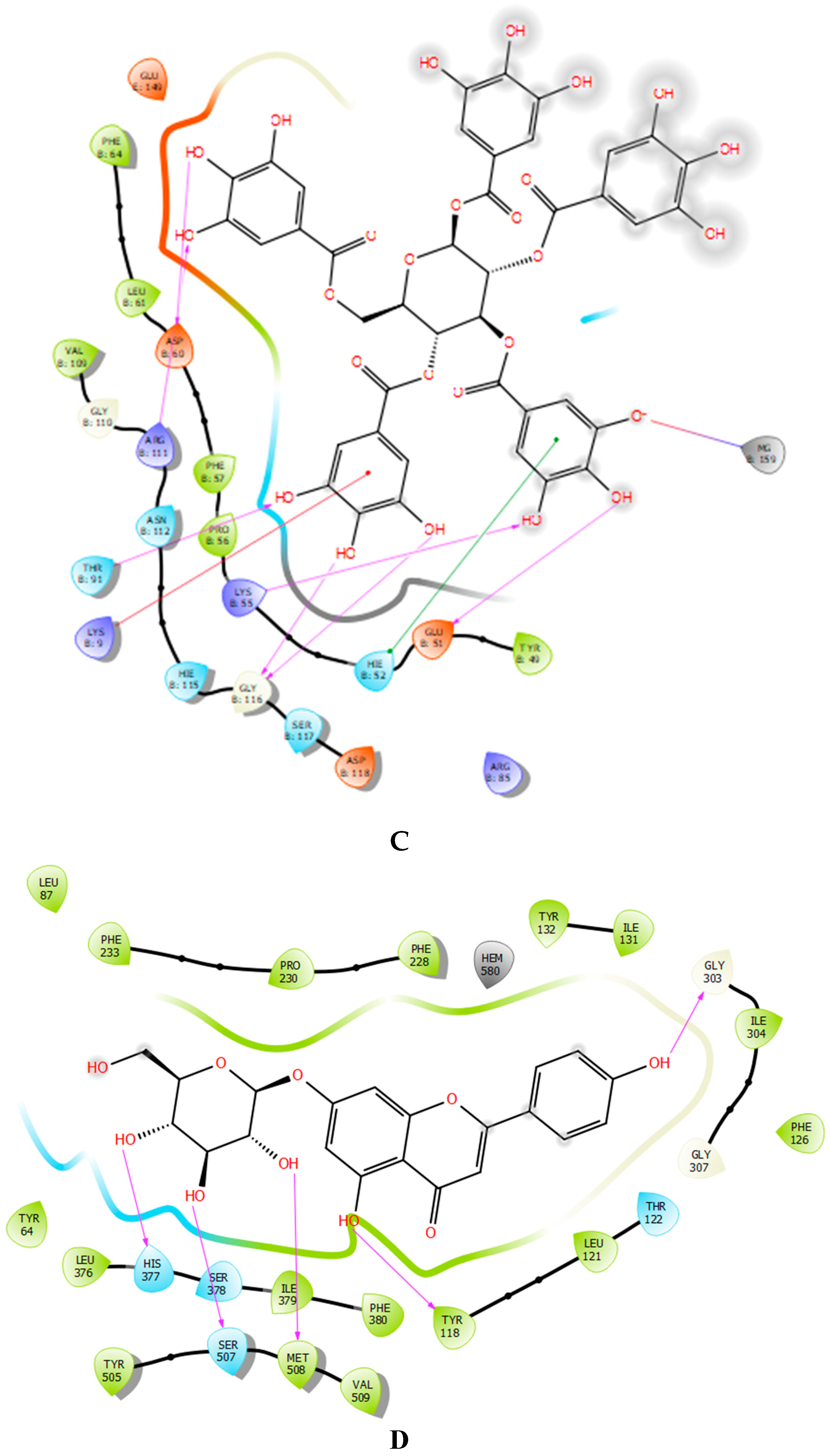 Marinedrugs 22 00565 g003b