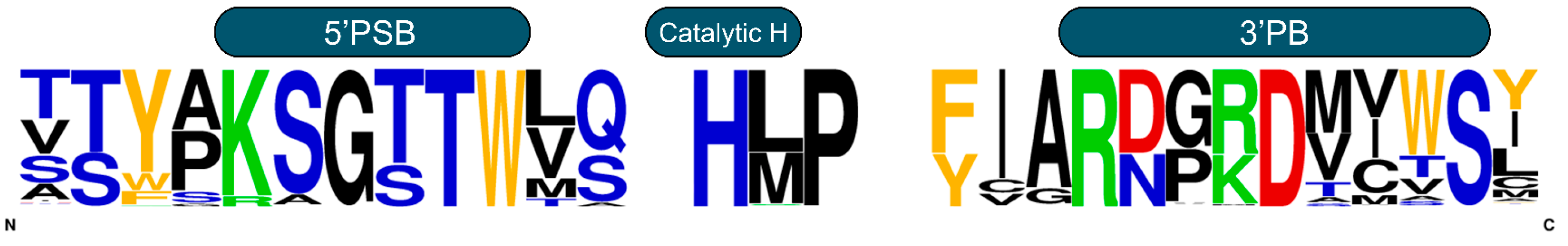 Identification and Characterization of Two Aryl Sulfotransferases from ...