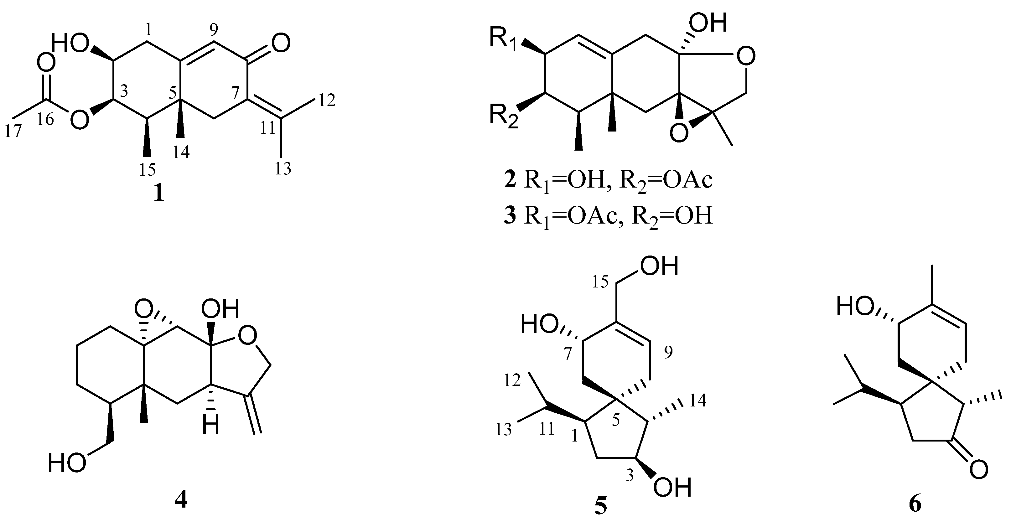 Marinedrugs 22 00574 g001