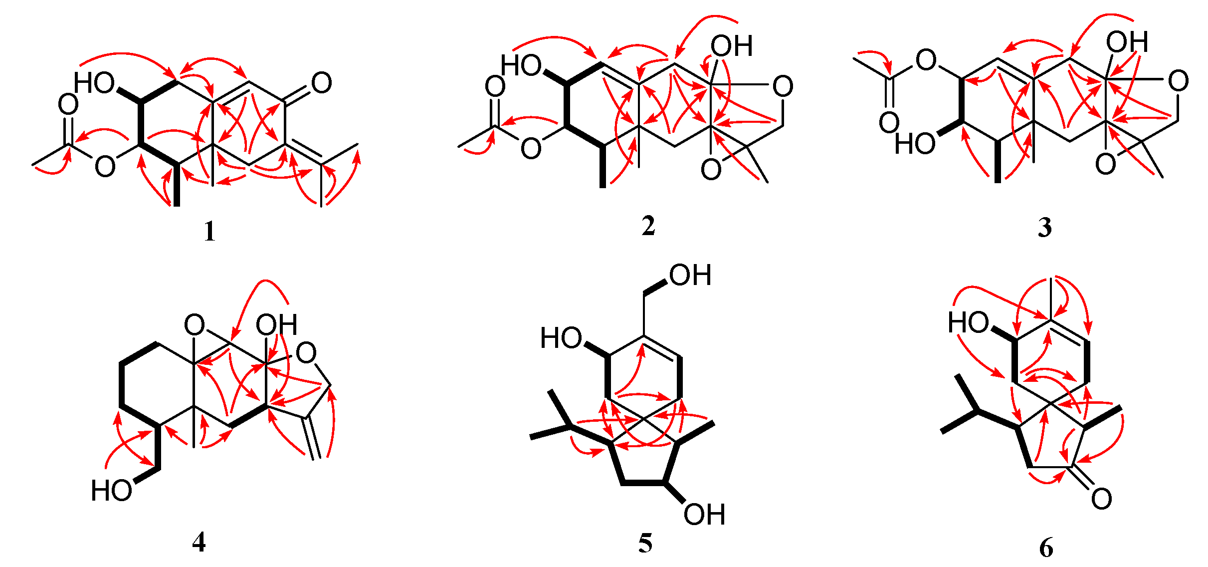 Marinedrugs 22 00574 g002