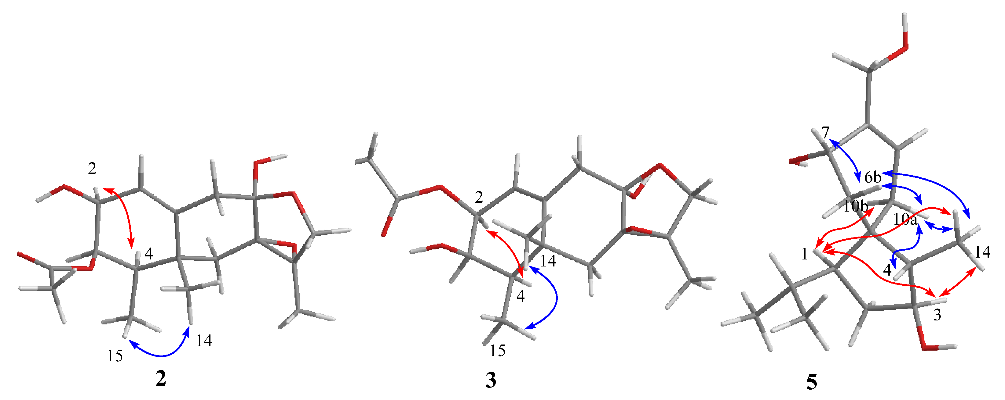Marinedrugs 22 00574 g004