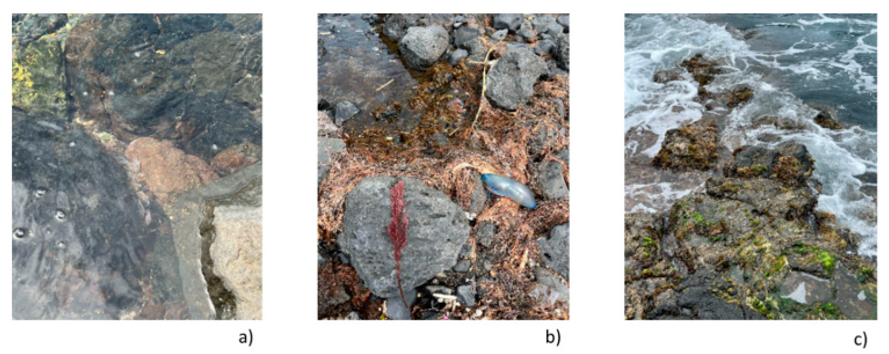 Marinedrugs 22 00575 g003