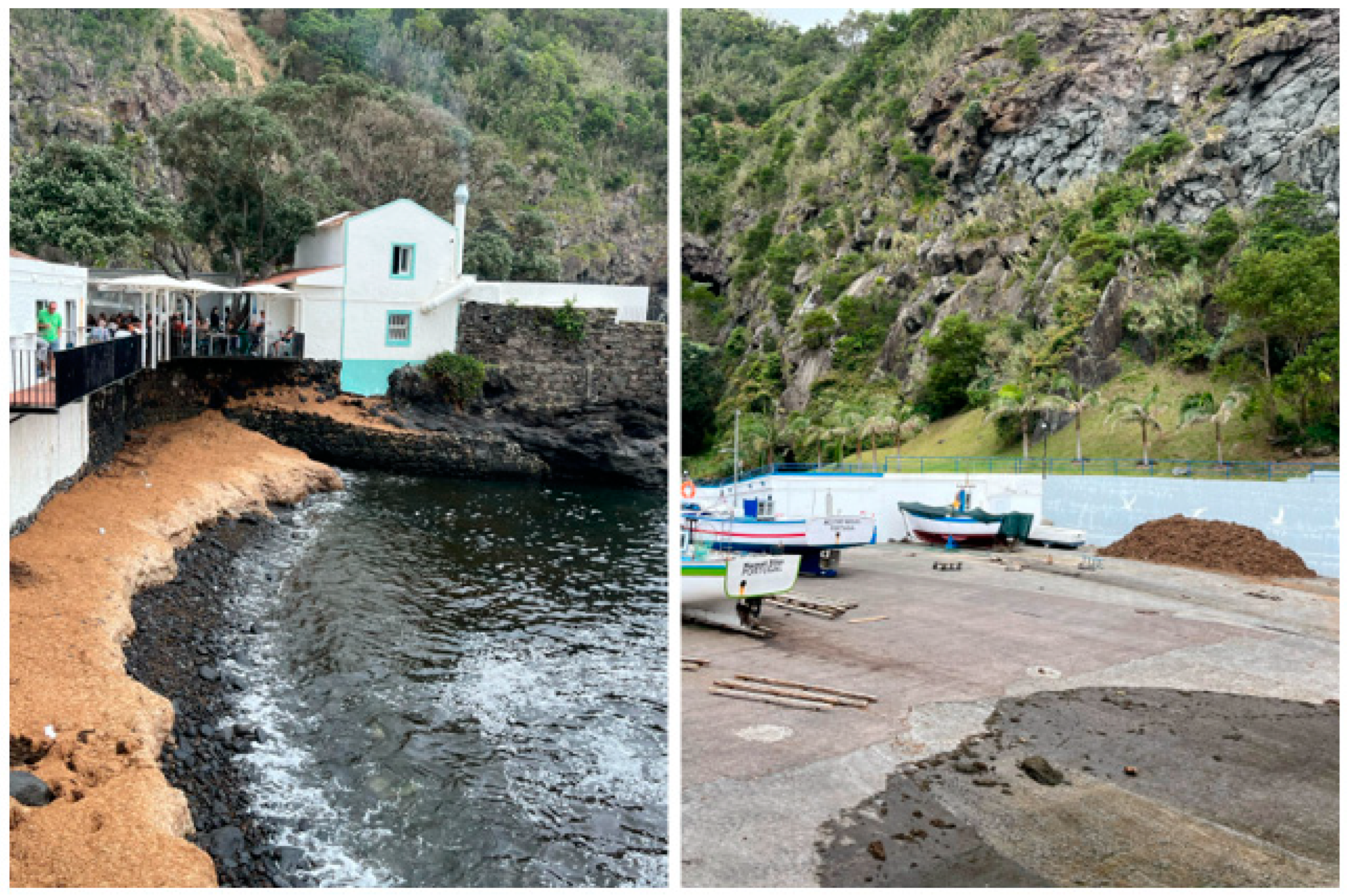 Marinedrugs 22 00575 g004