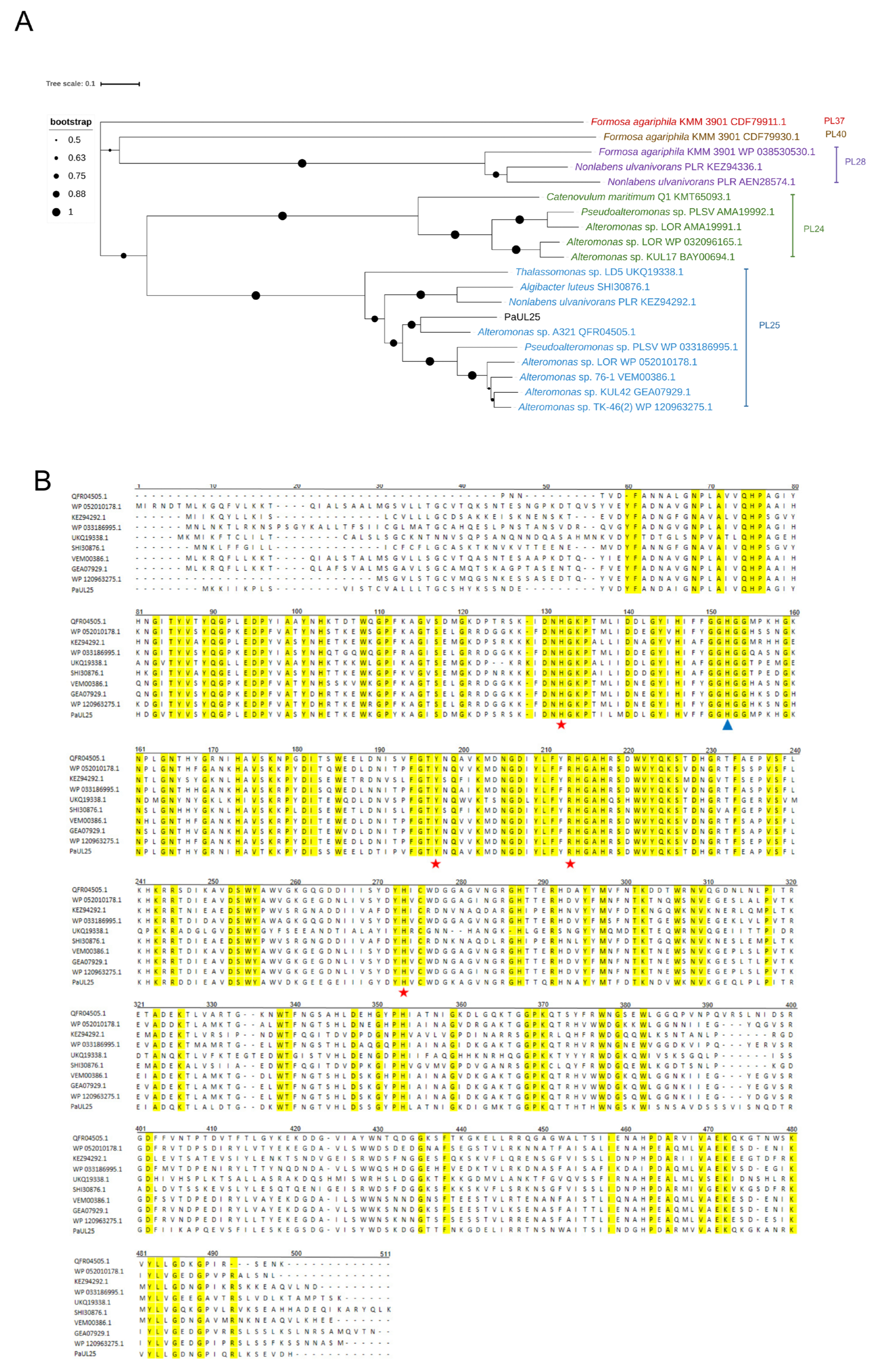 Marinedrugs 22 00577 g001
