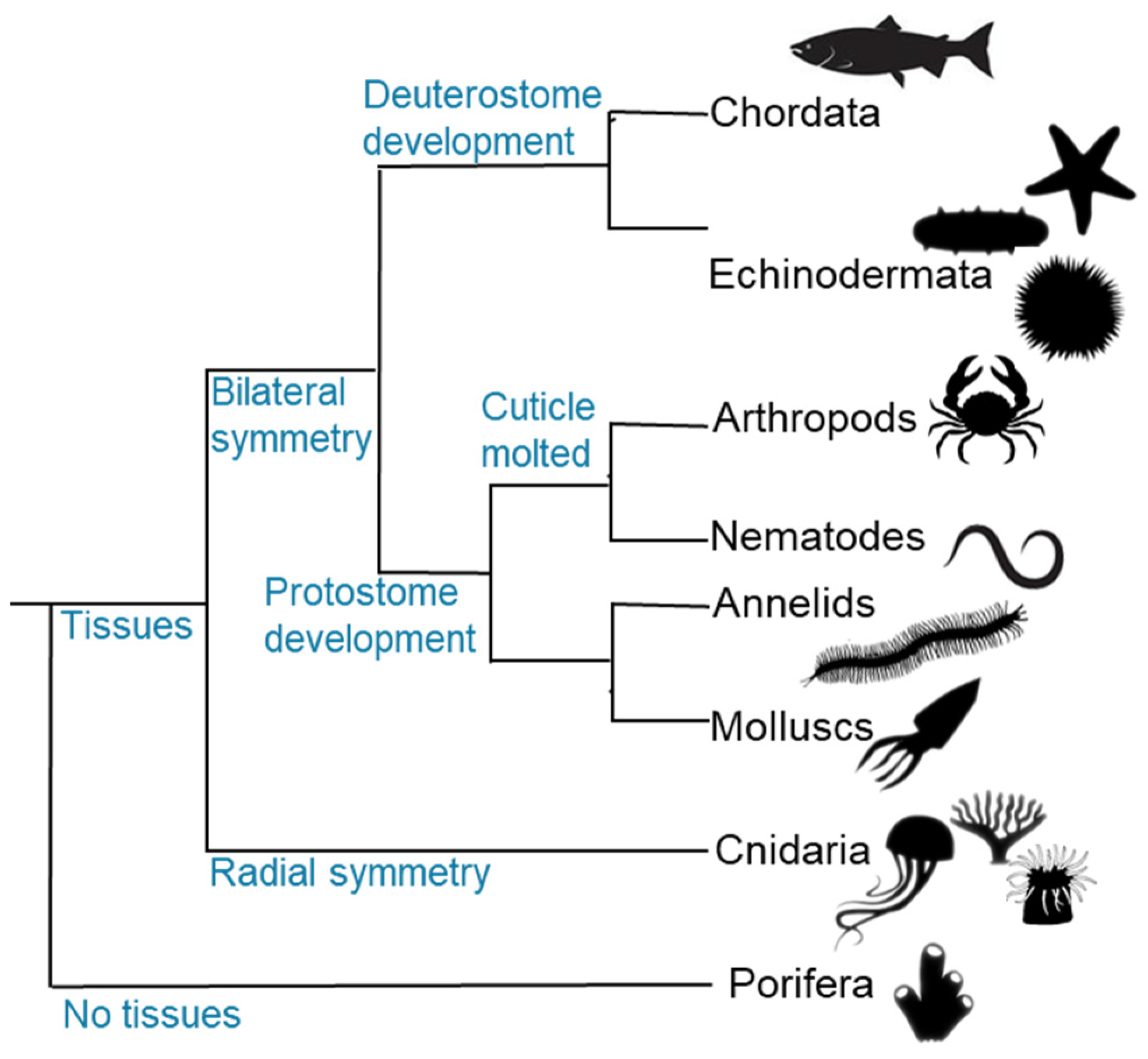 Marinedrugs 23 00002 g001