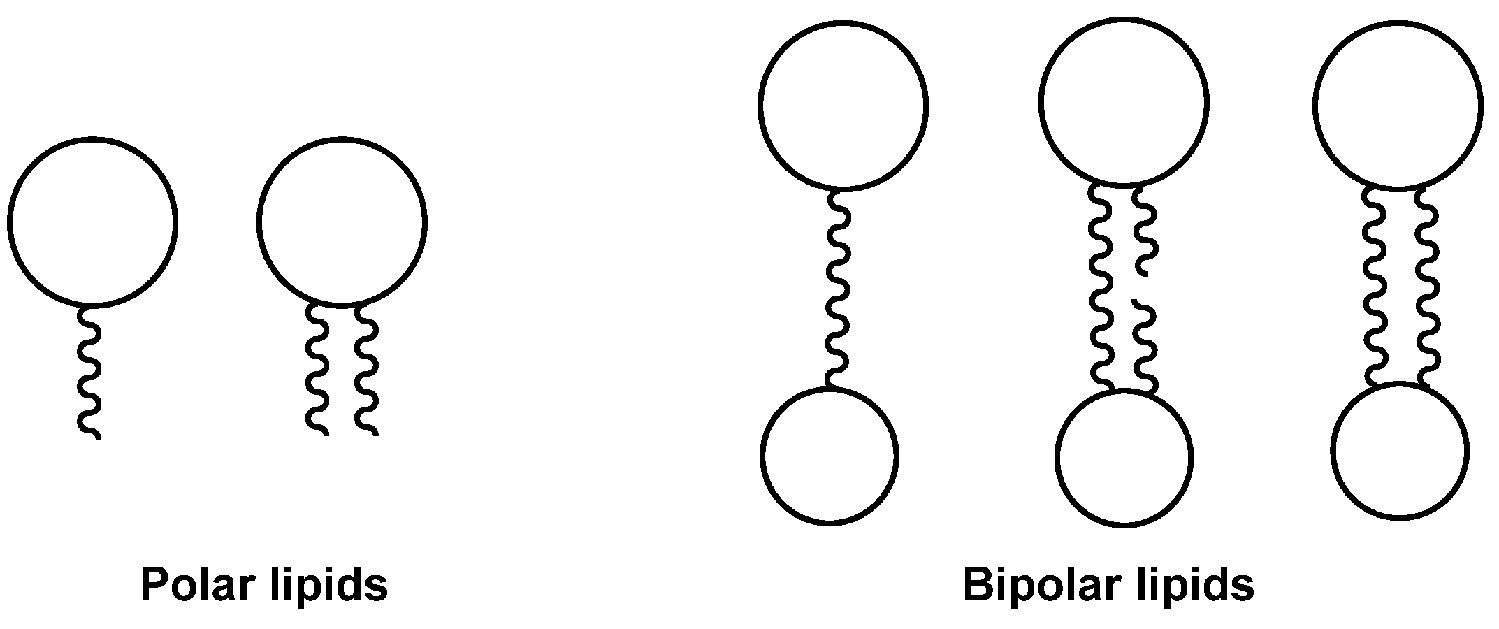 Marinedrugs 23 00003 g001