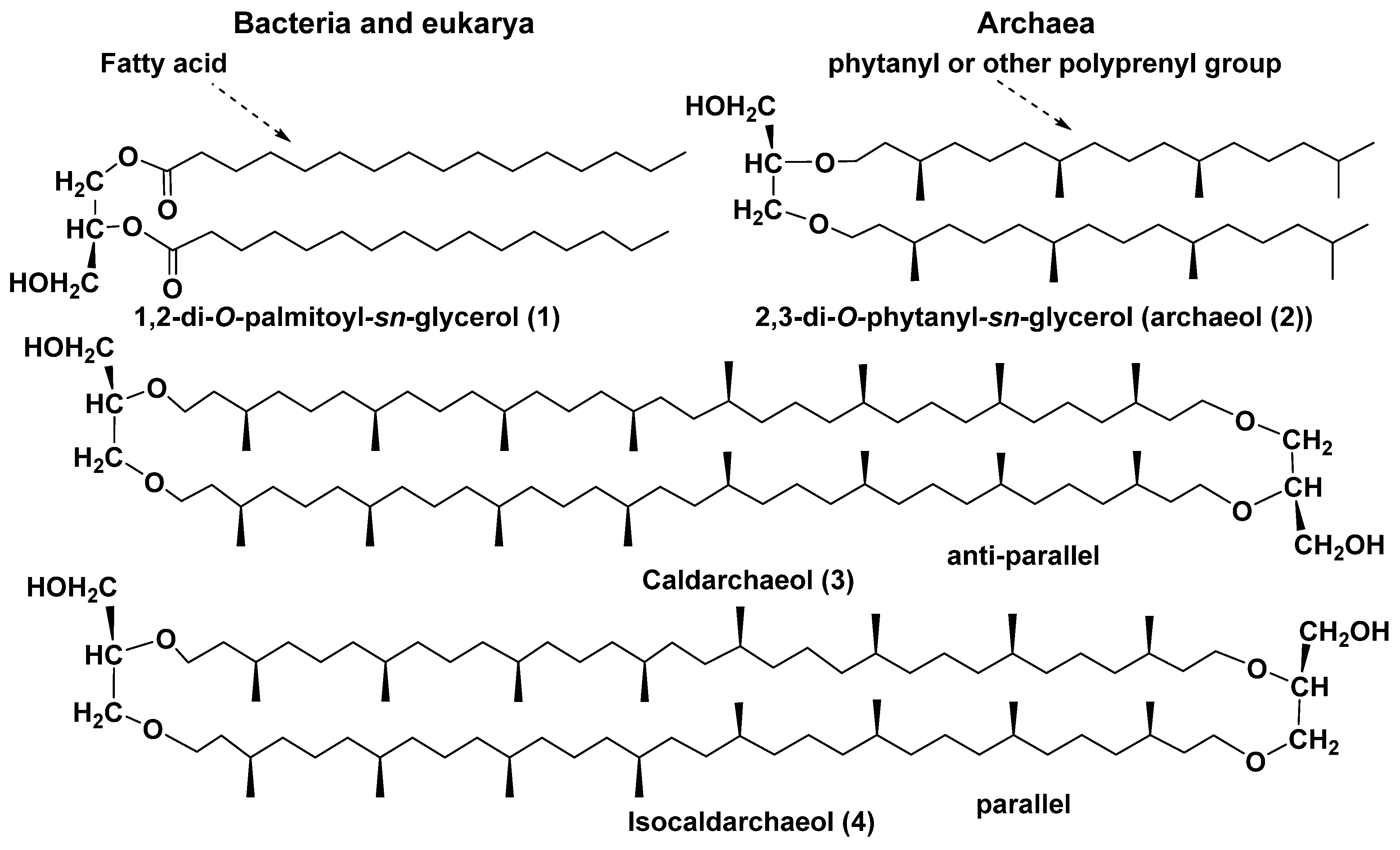Marinedrugs 23 00003 g002