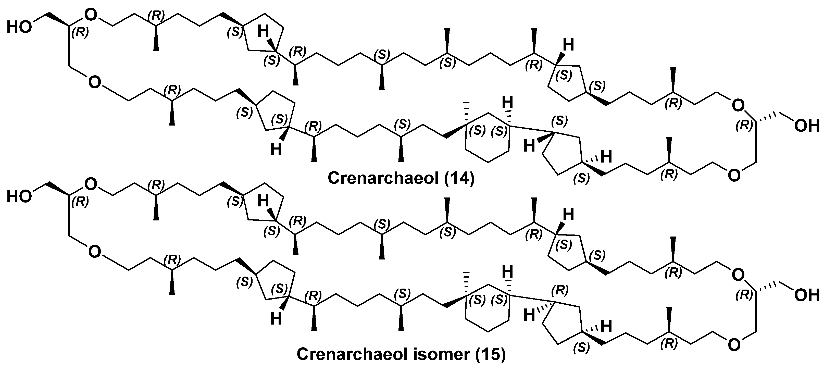 Marinedrugs 23 00003 g004