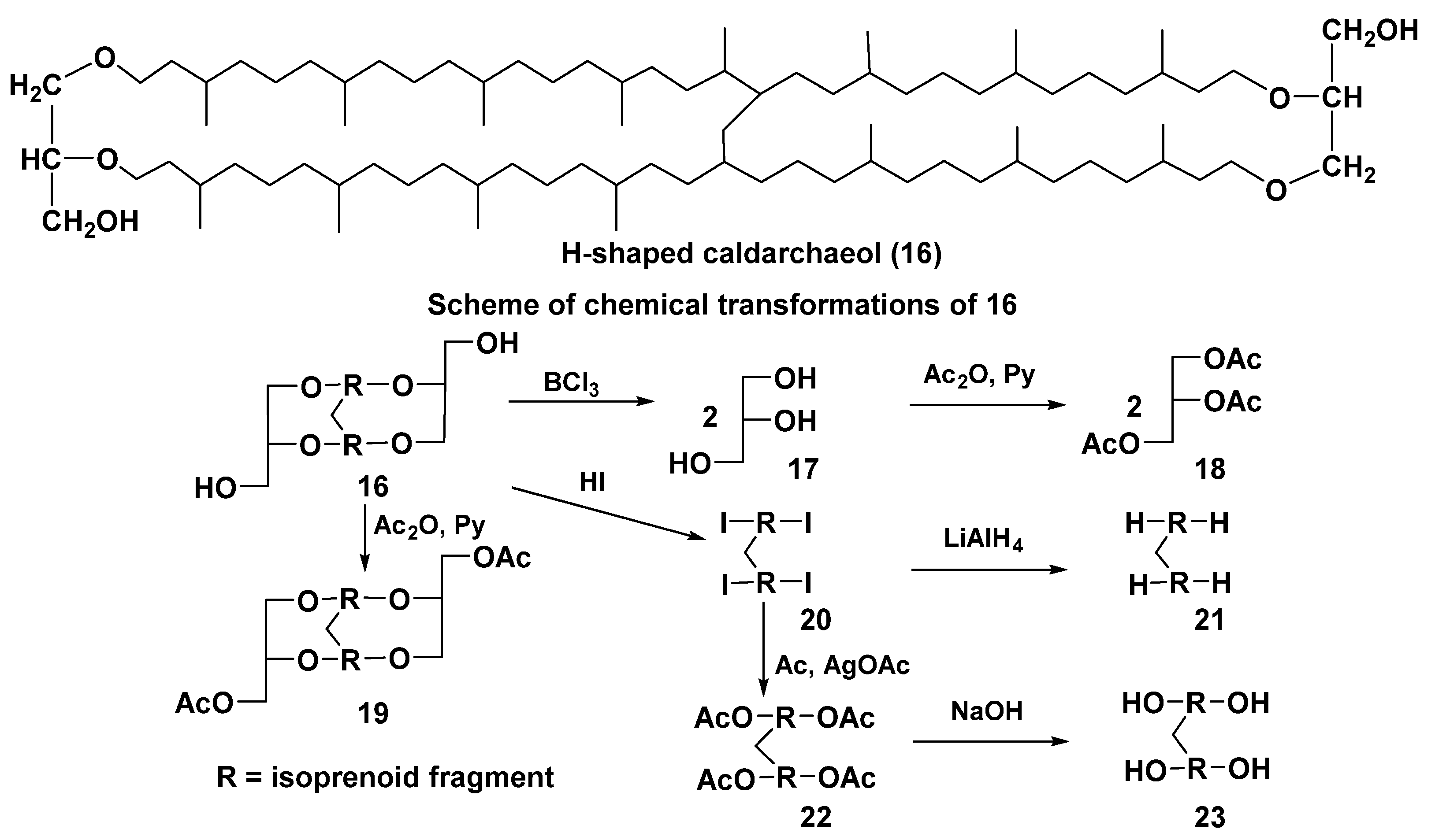 Marinedrugs 23 00003 g005