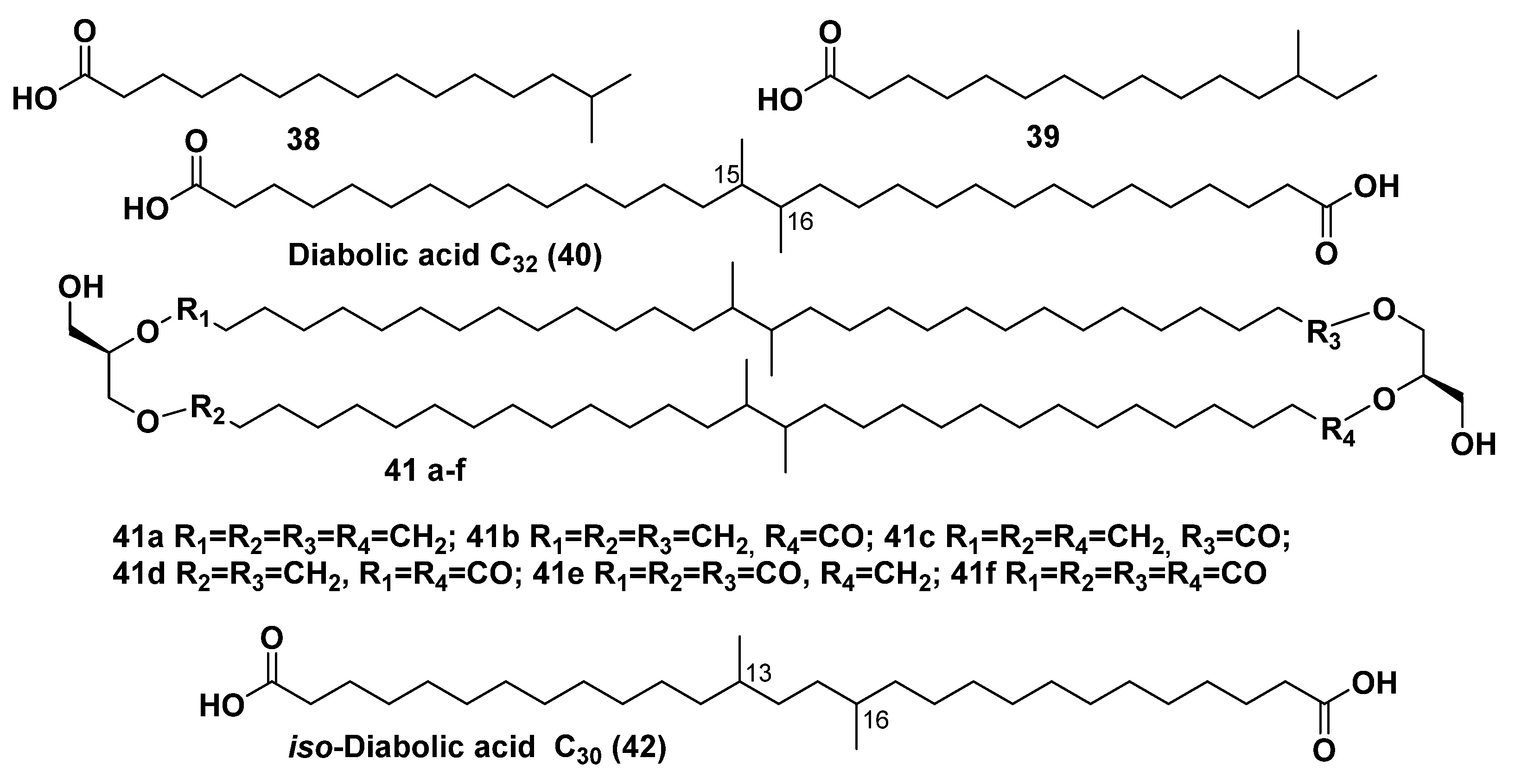 Marinedrugs 23 00003 g009
