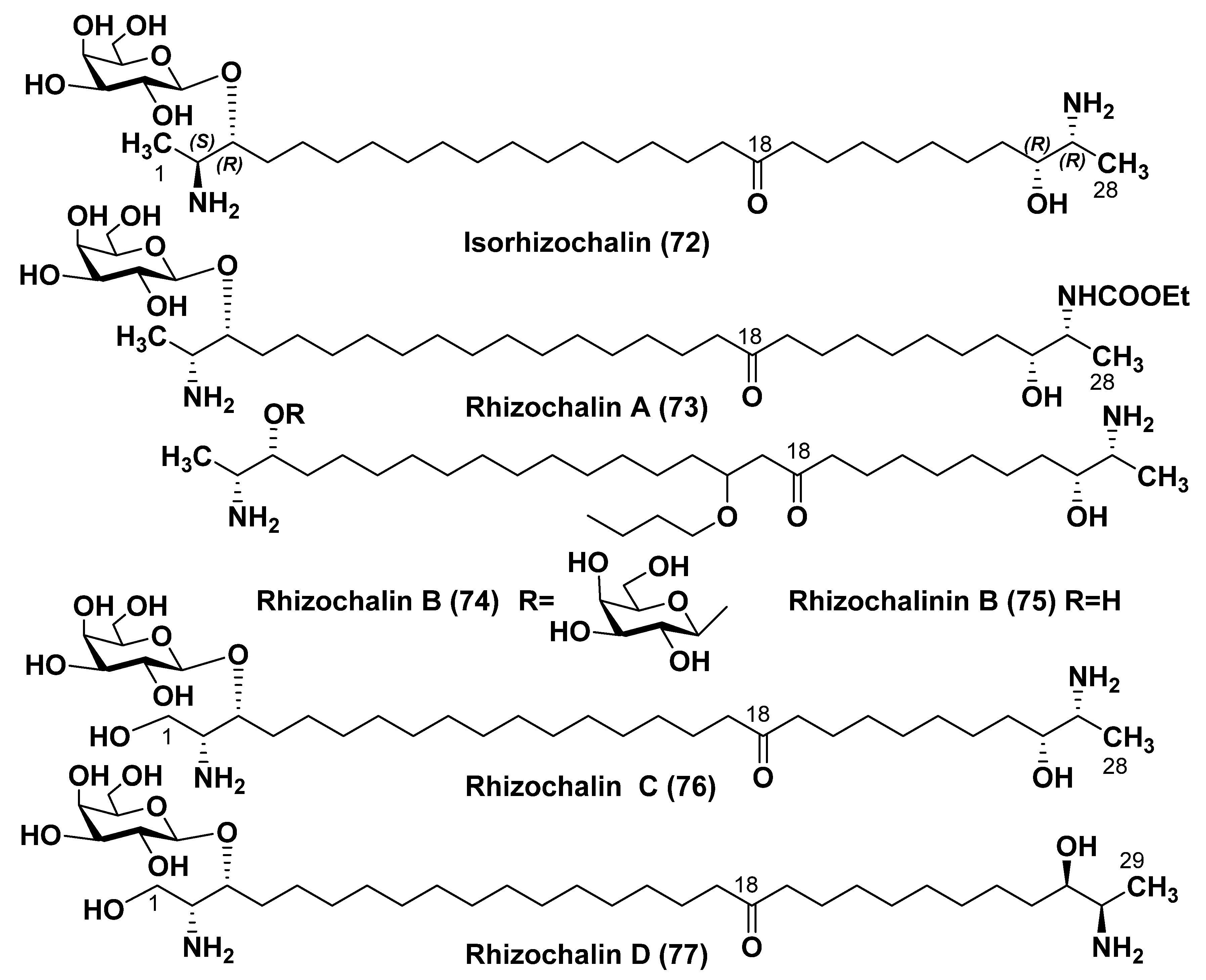 Marinedrugs 23 00003 g010