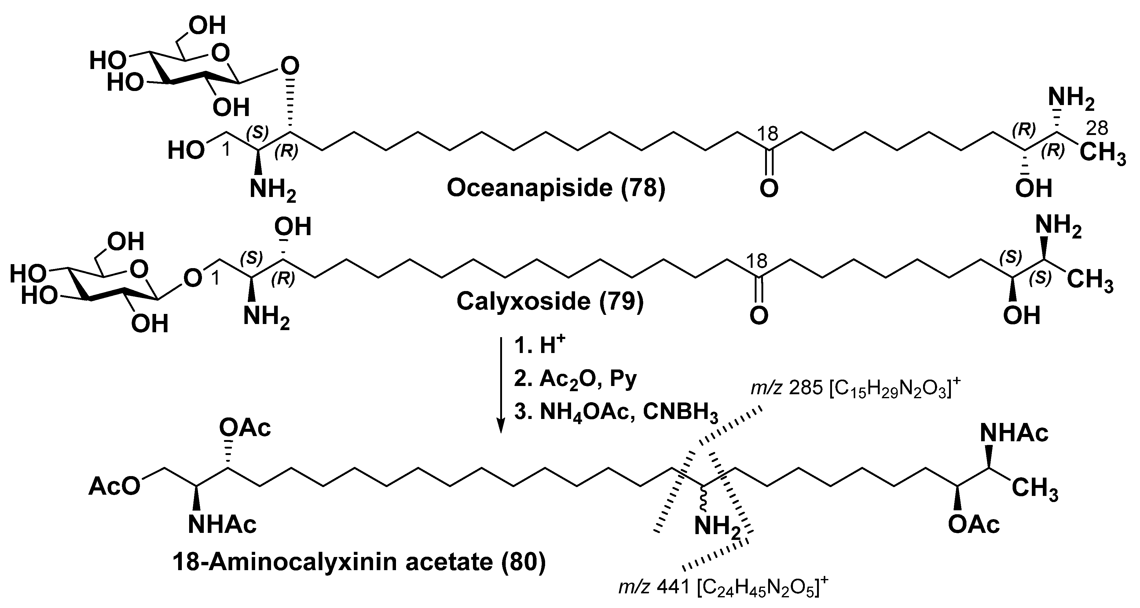Marinedrugs 23 00003 g011