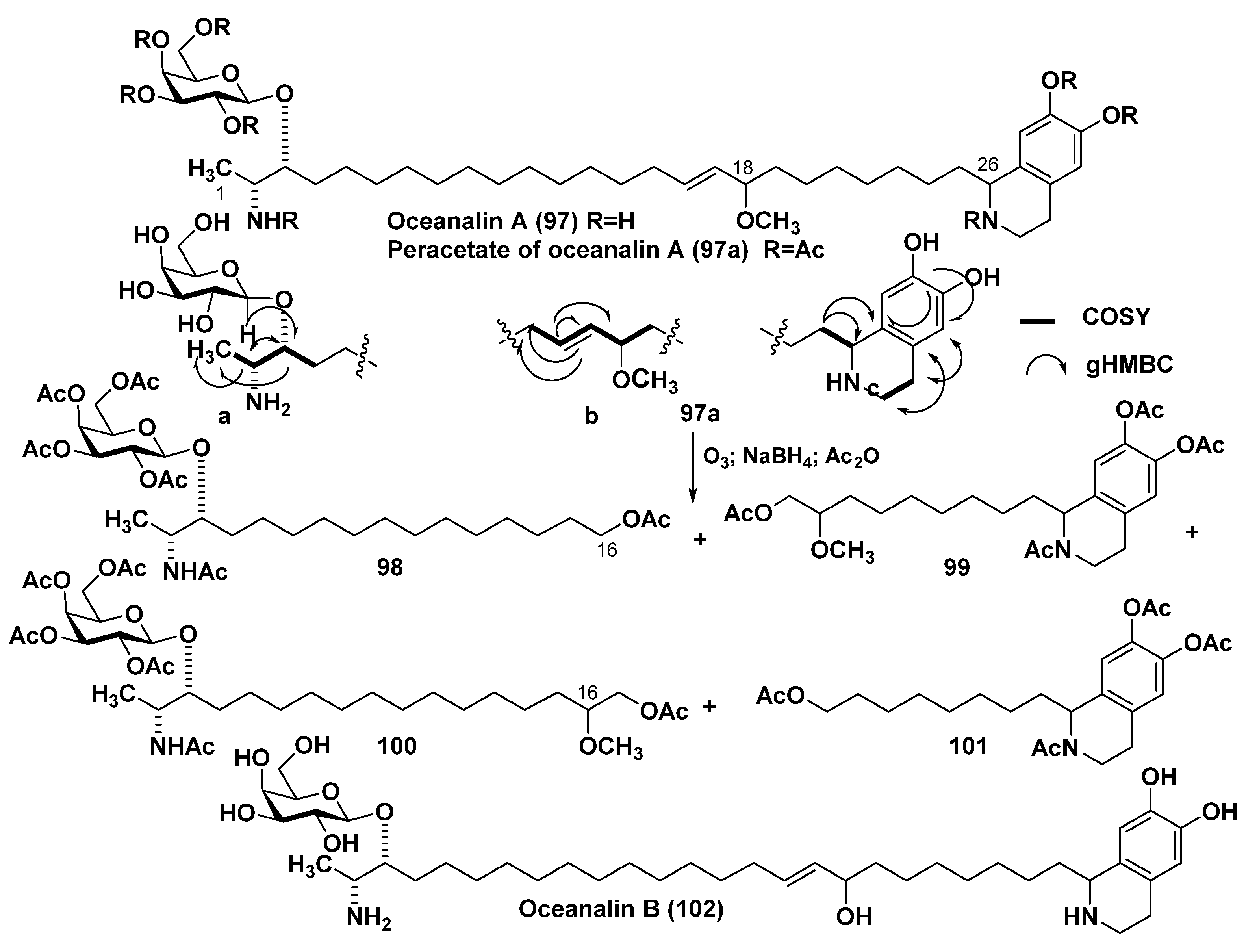 Marinedrugs 23 00003 g013