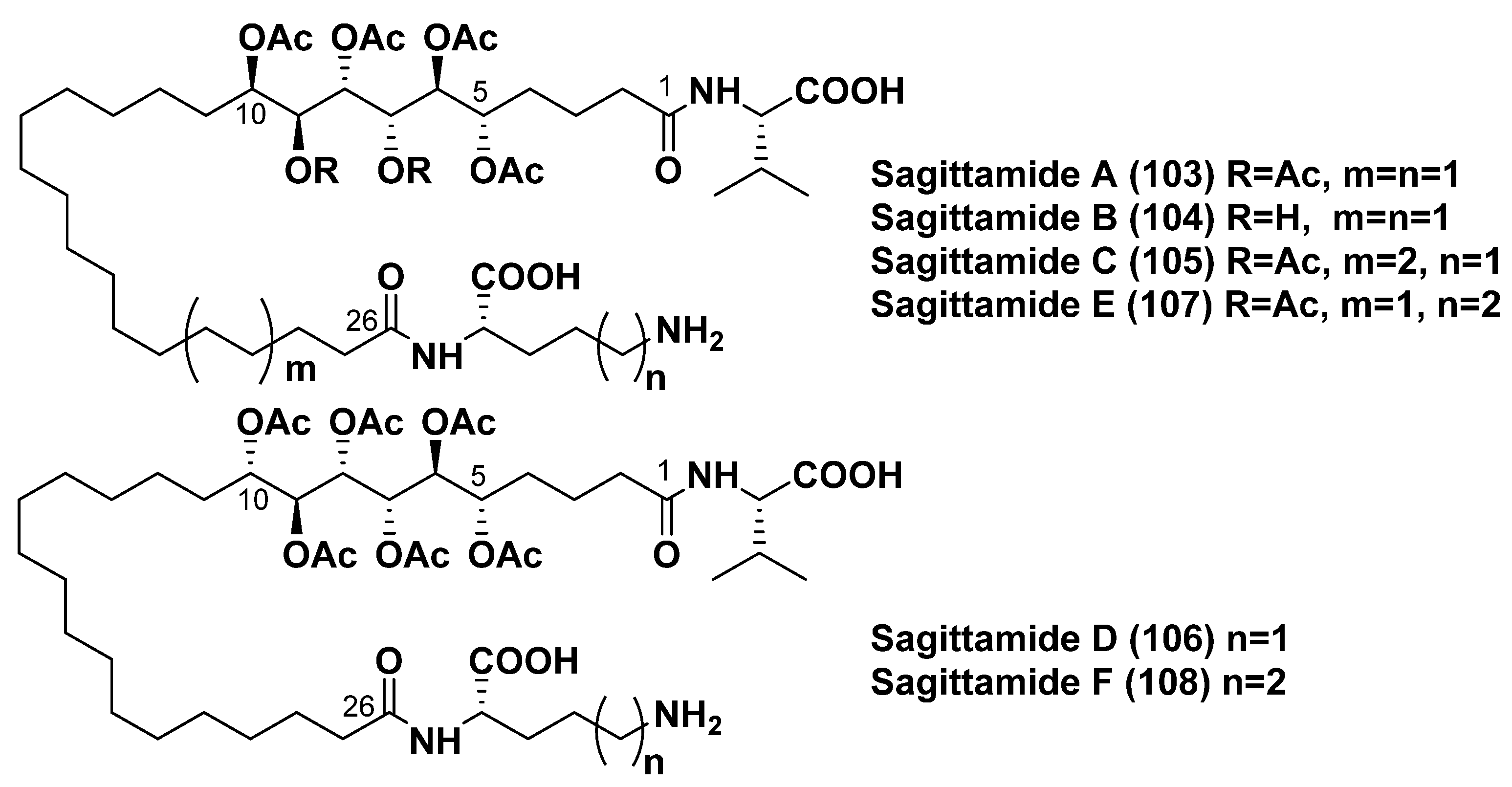Marinedrugs 23 00003 g014