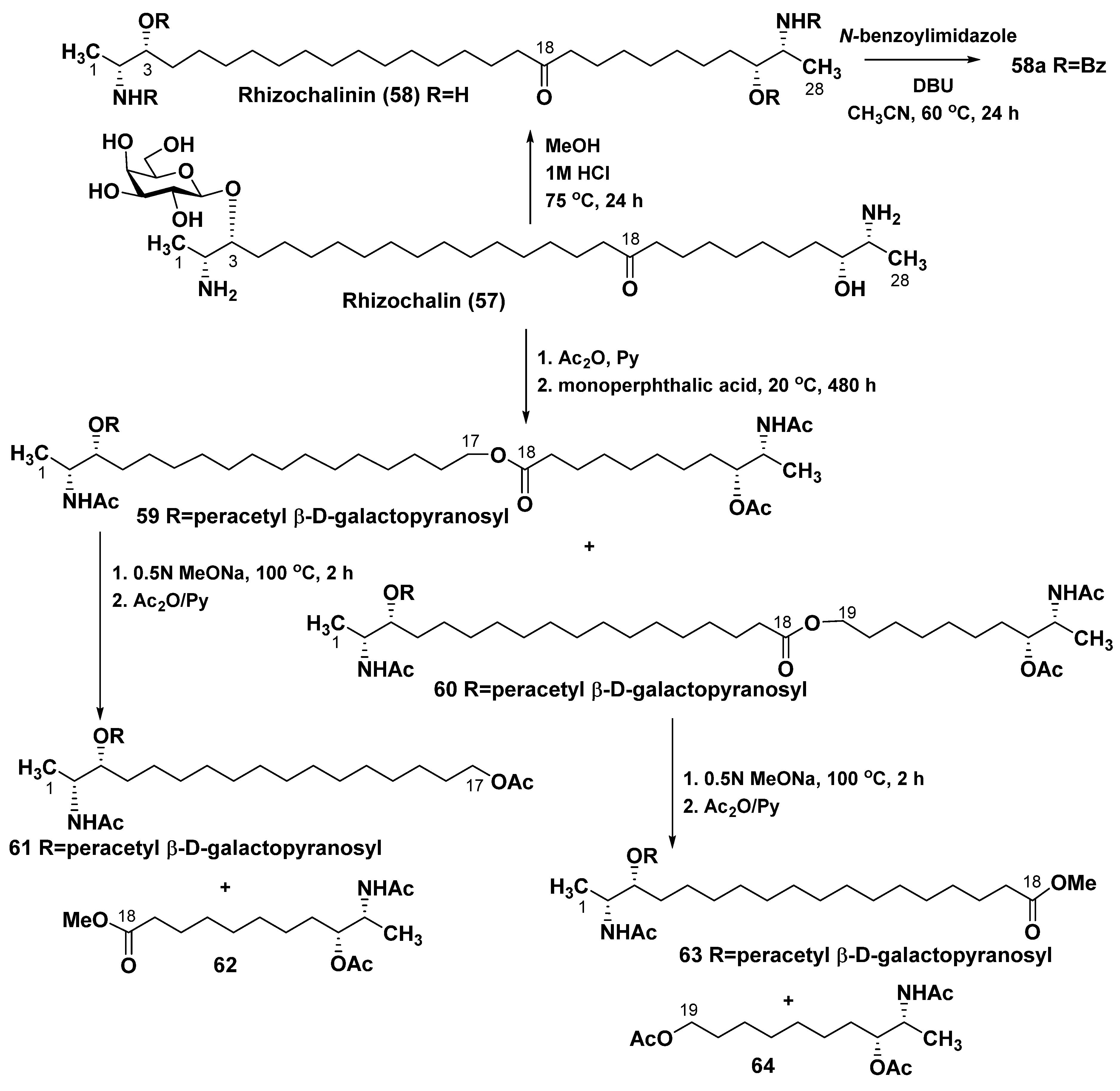 Marinedrugs 23 00003 sch002