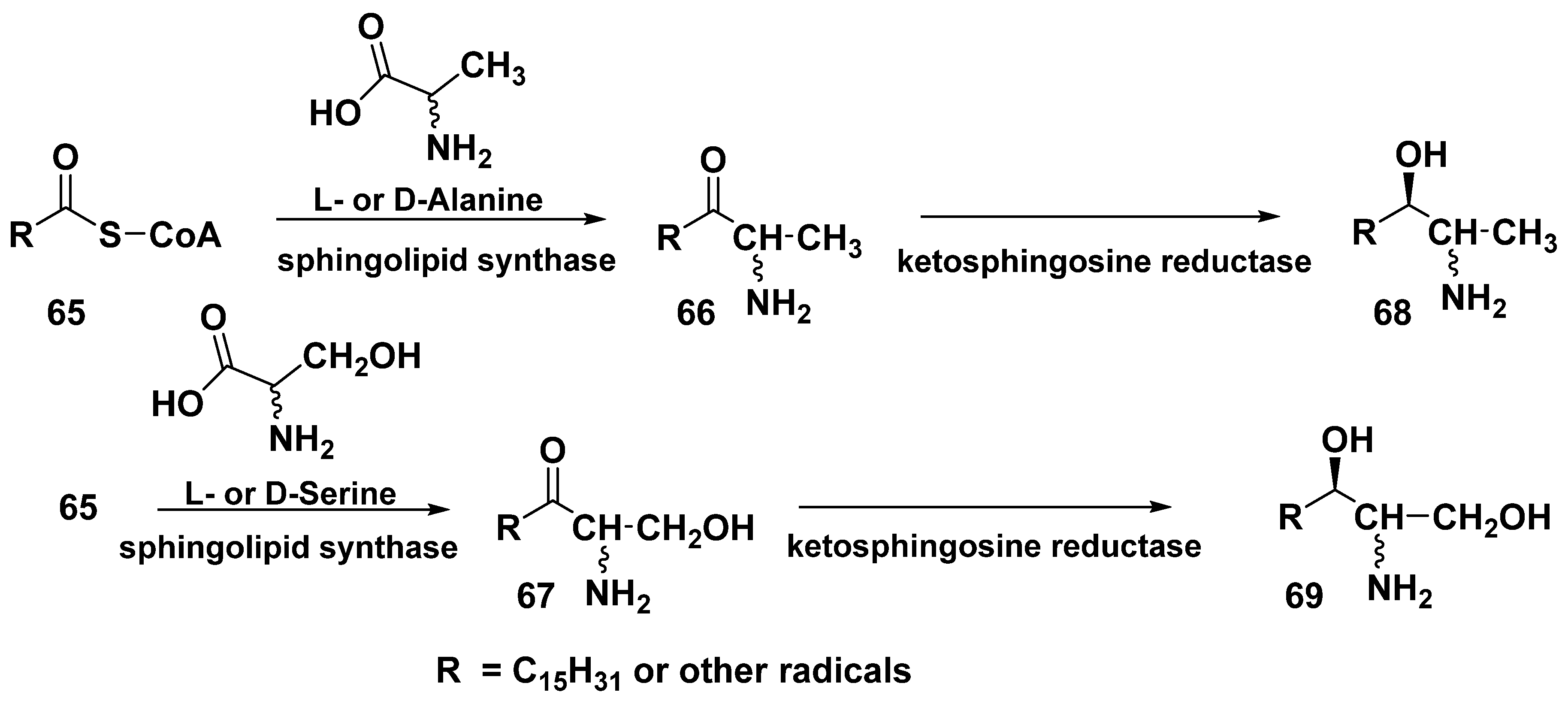Marinedrugs 23 00003 sch003