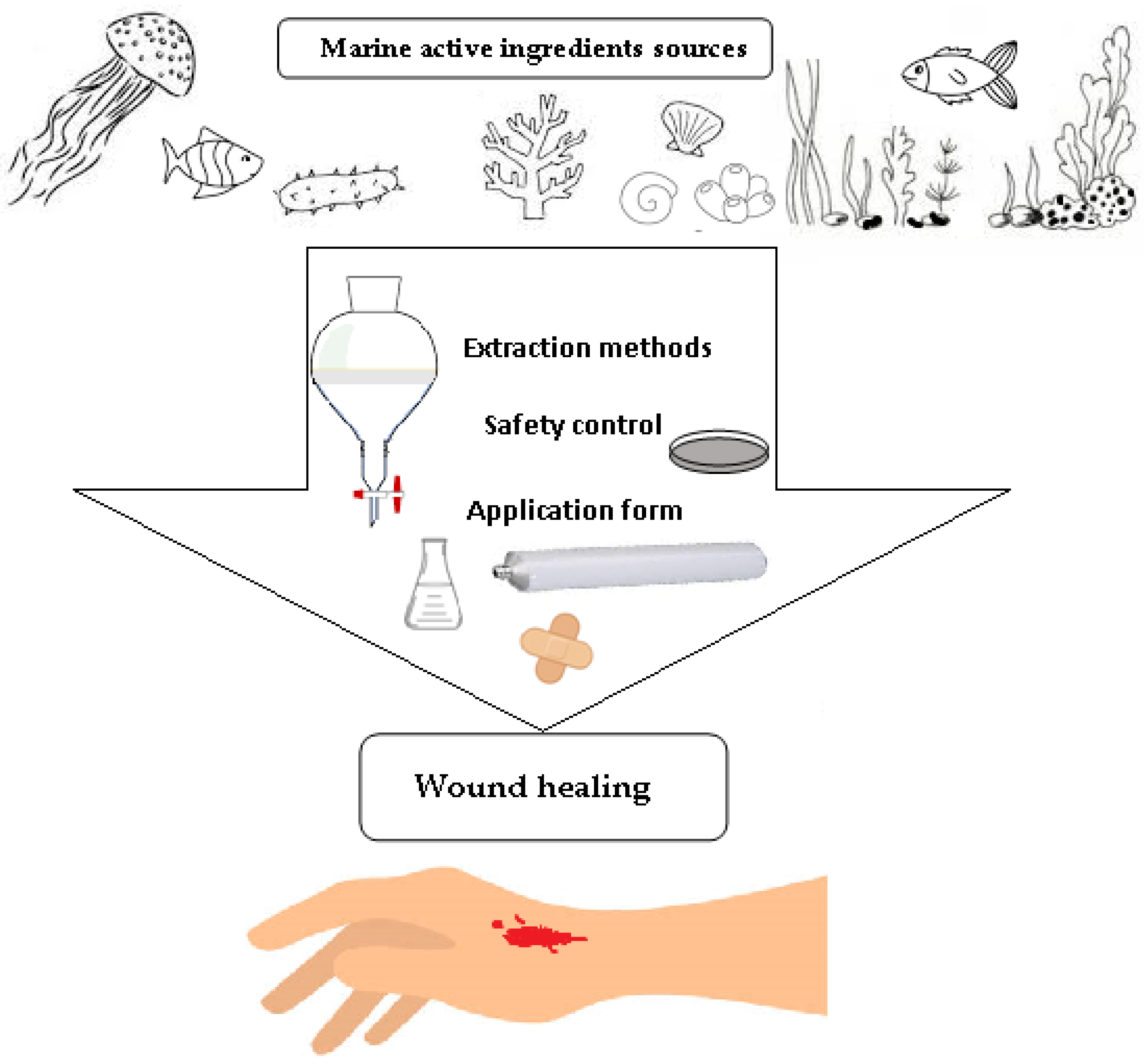 Marinedrugs 23 00005 g001