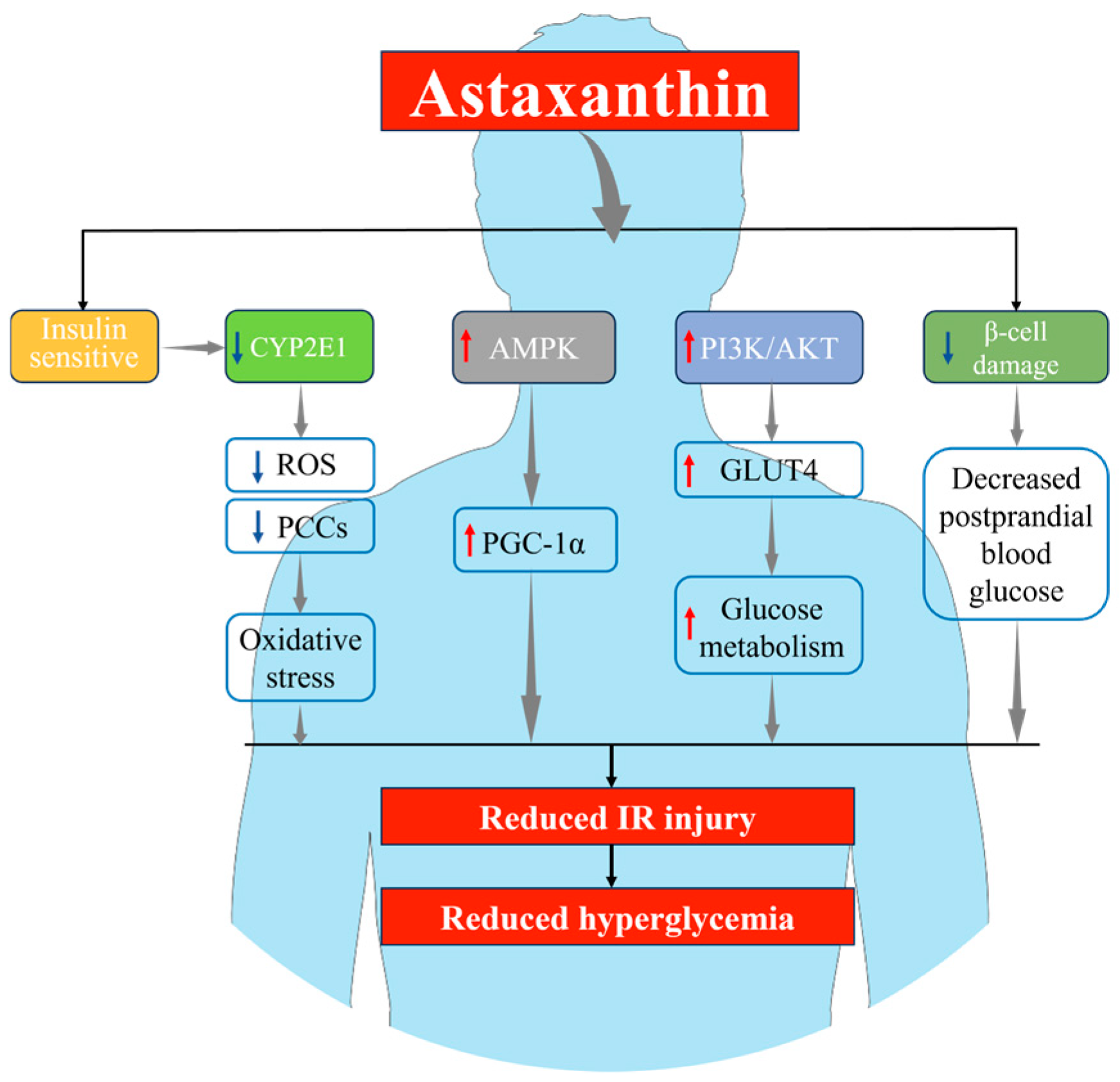 Marinedrugs 23 00009 g003