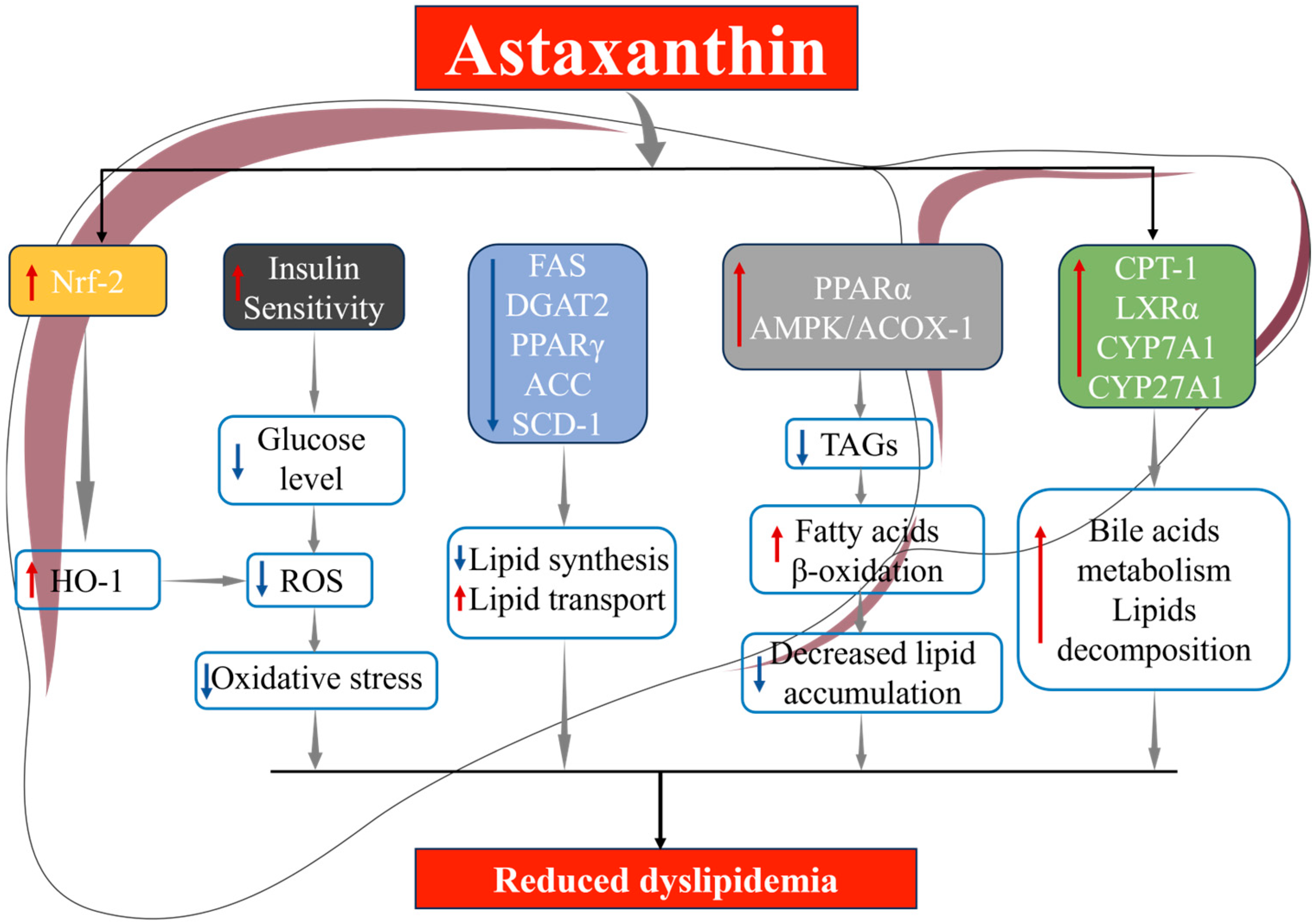 Marinedrugs 23 00009 g004