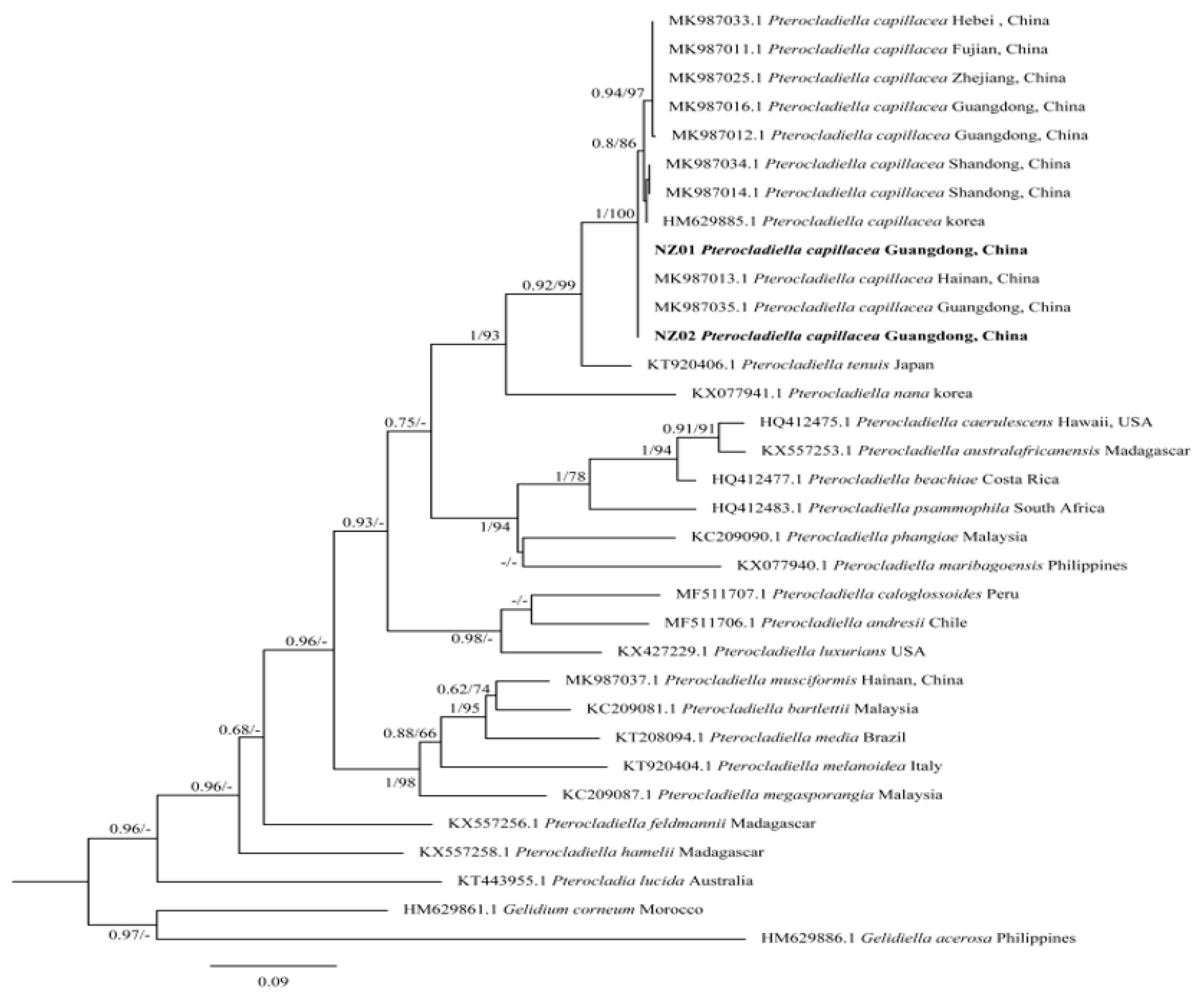 Marinedrugs 23 00011 g002