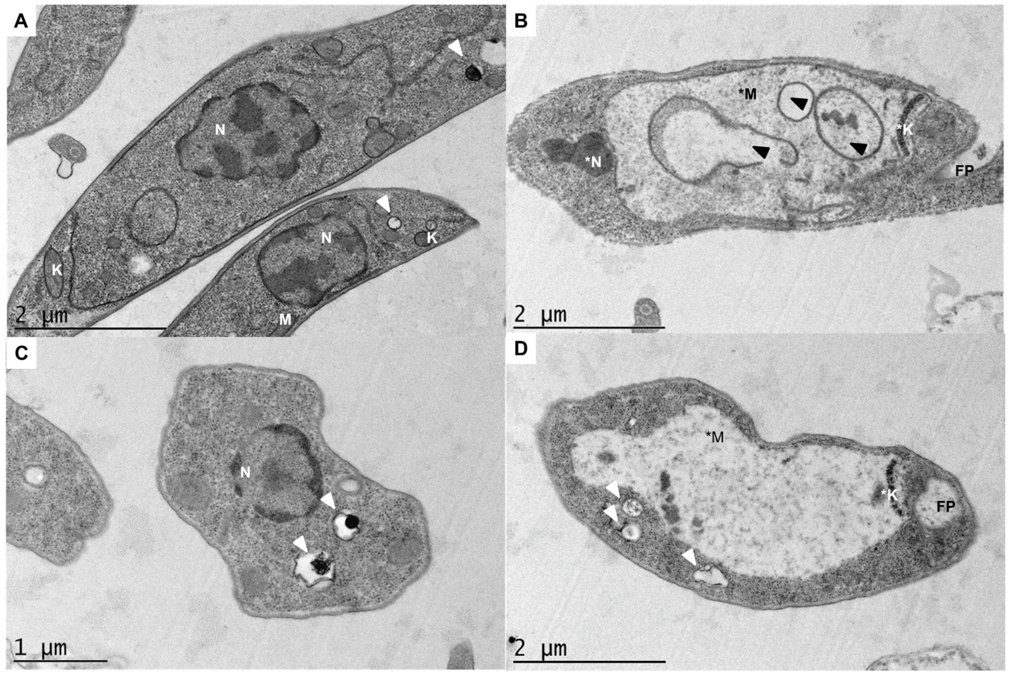 Marinedrugs 23 00013 g002