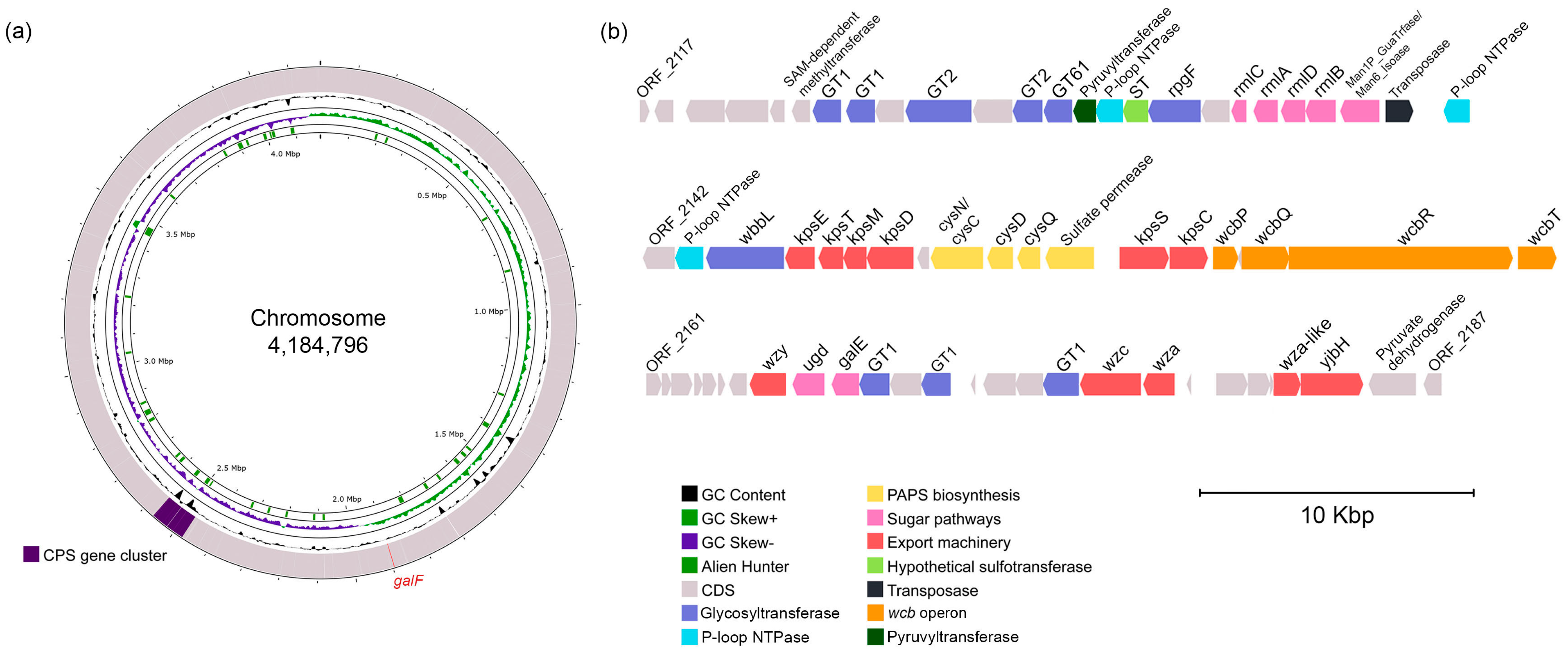 Marinedrugs 23 00029 g006
