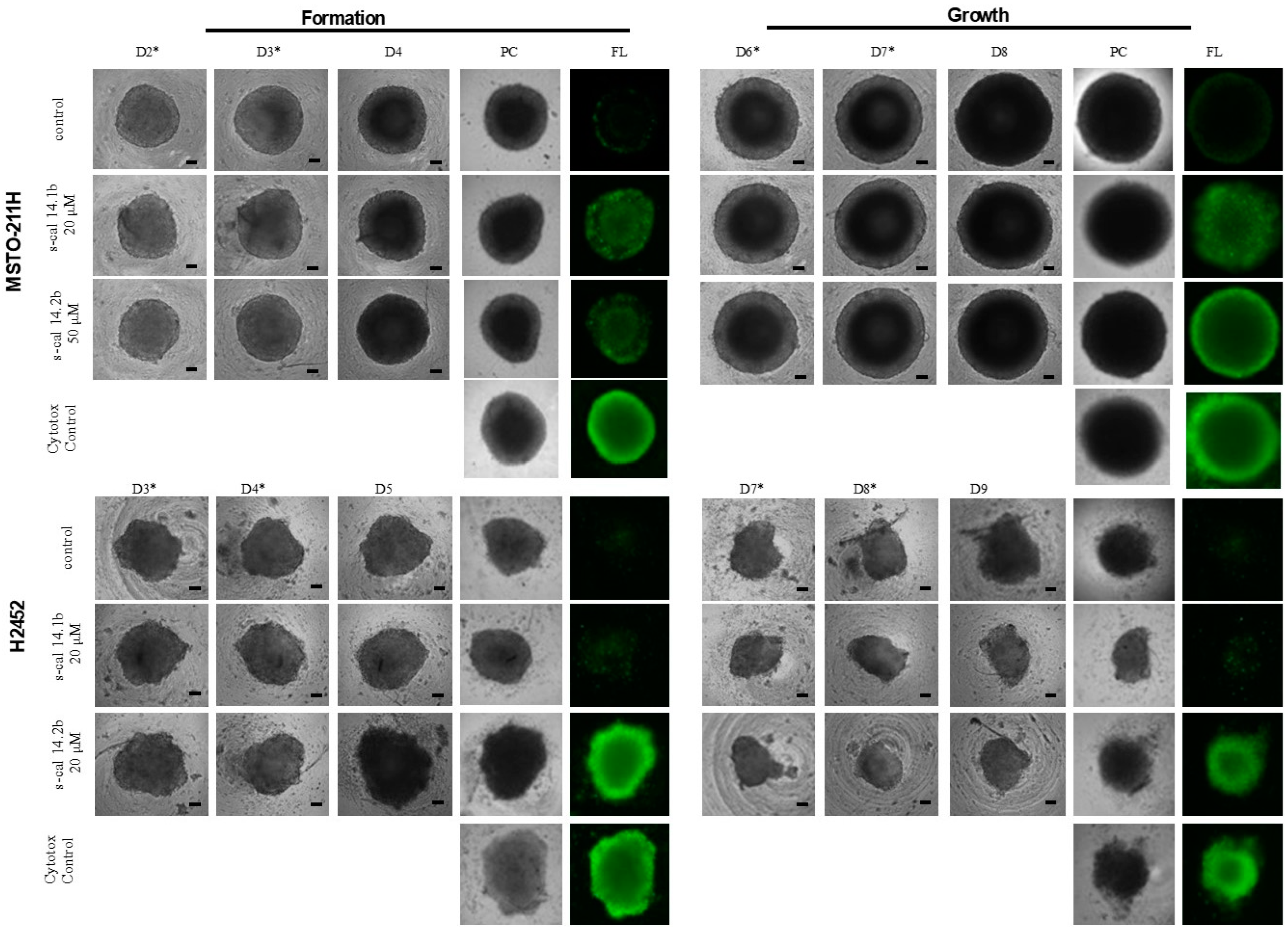 Marinedrugs 23 00032 g003