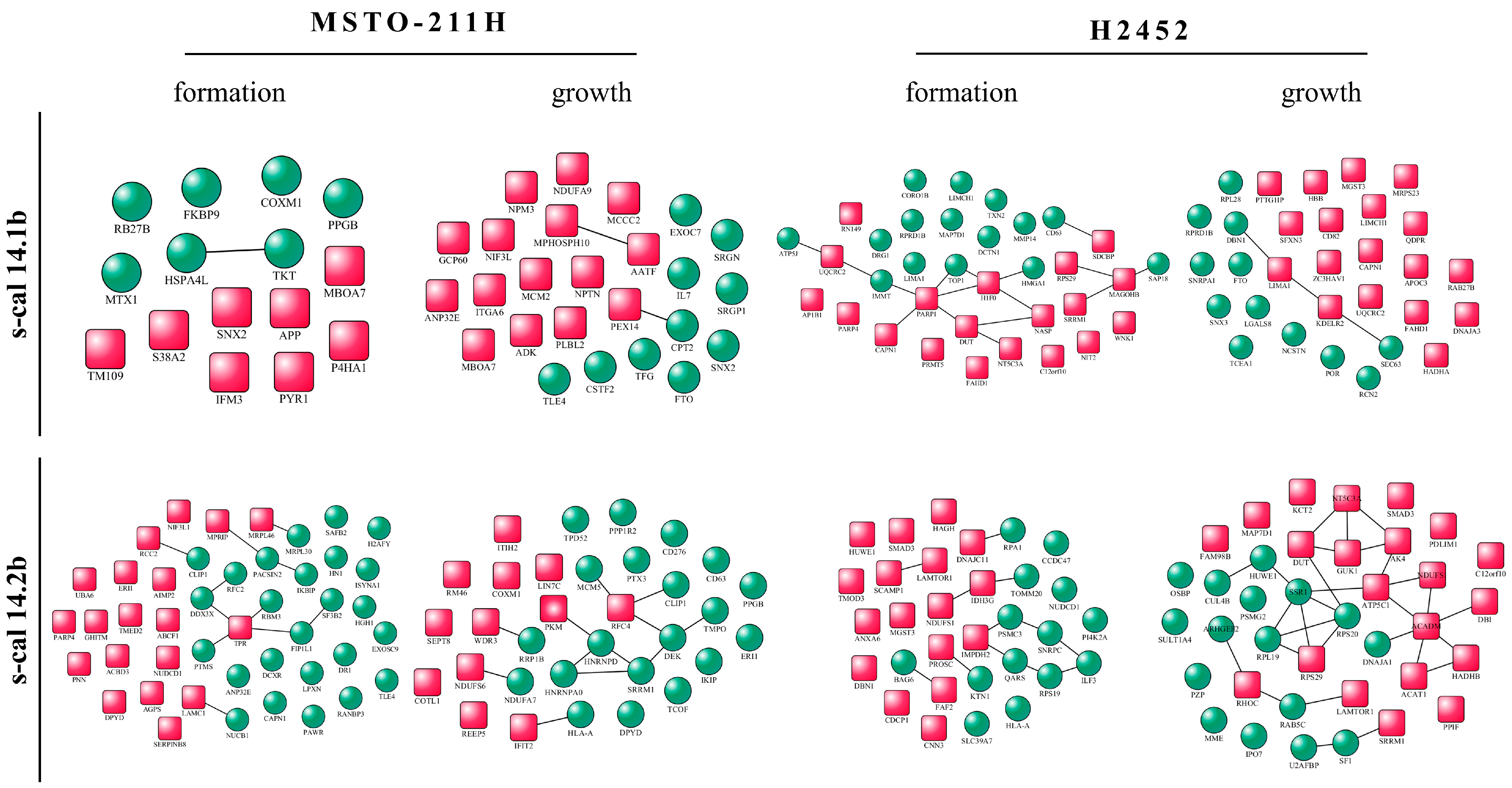 Marinedrugs 23 00032 g006
