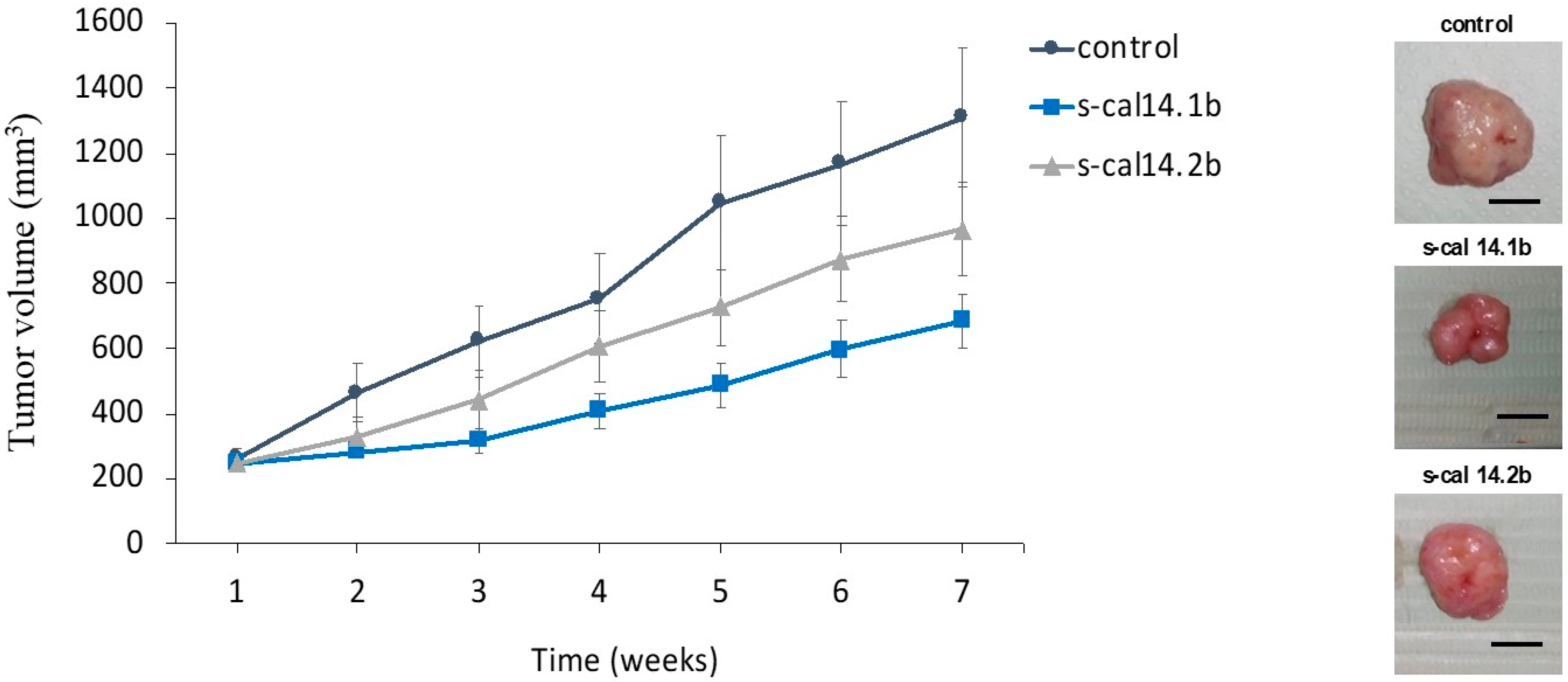 Marinedrugs 23 00032 g007