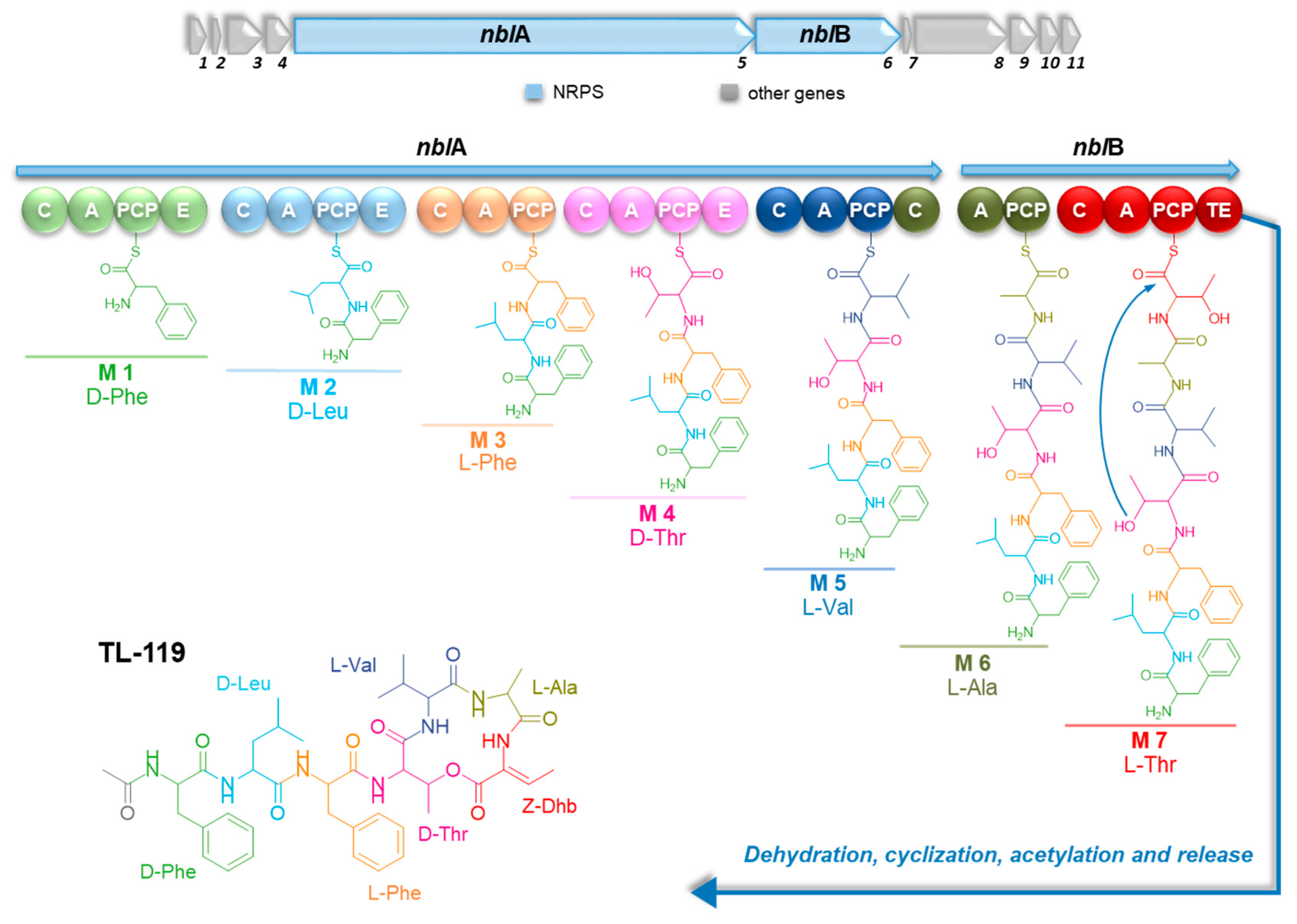Marinedrugs 23 00041 g006