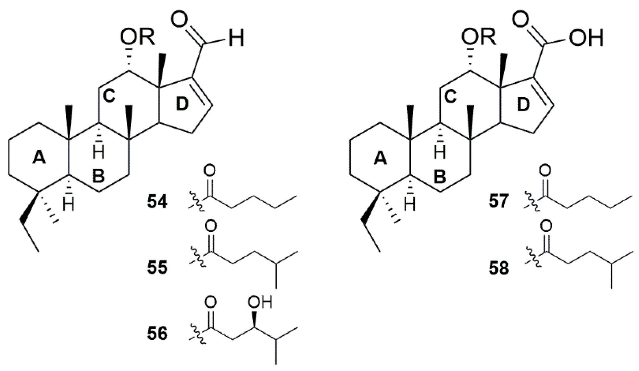 Marinedrugs 23 00043 g004