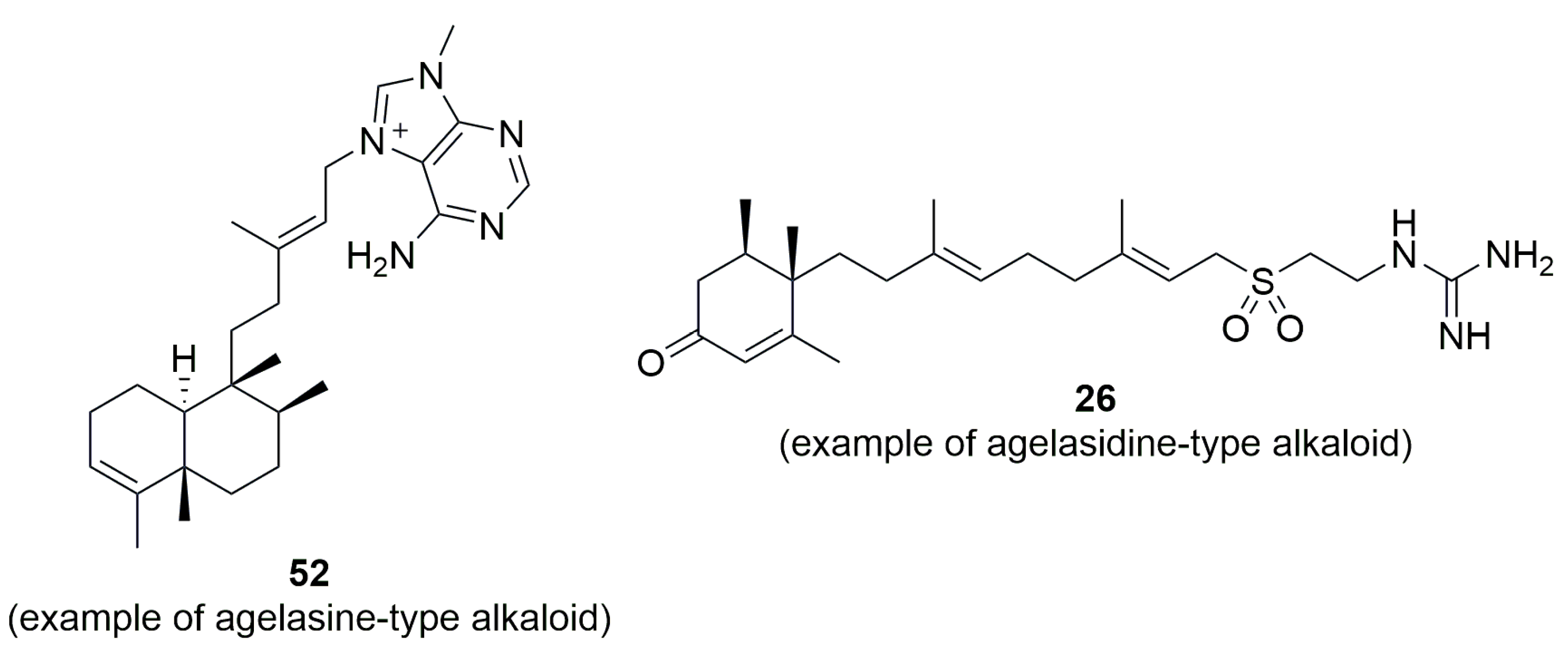 Marinedrugs 23 00043 g006