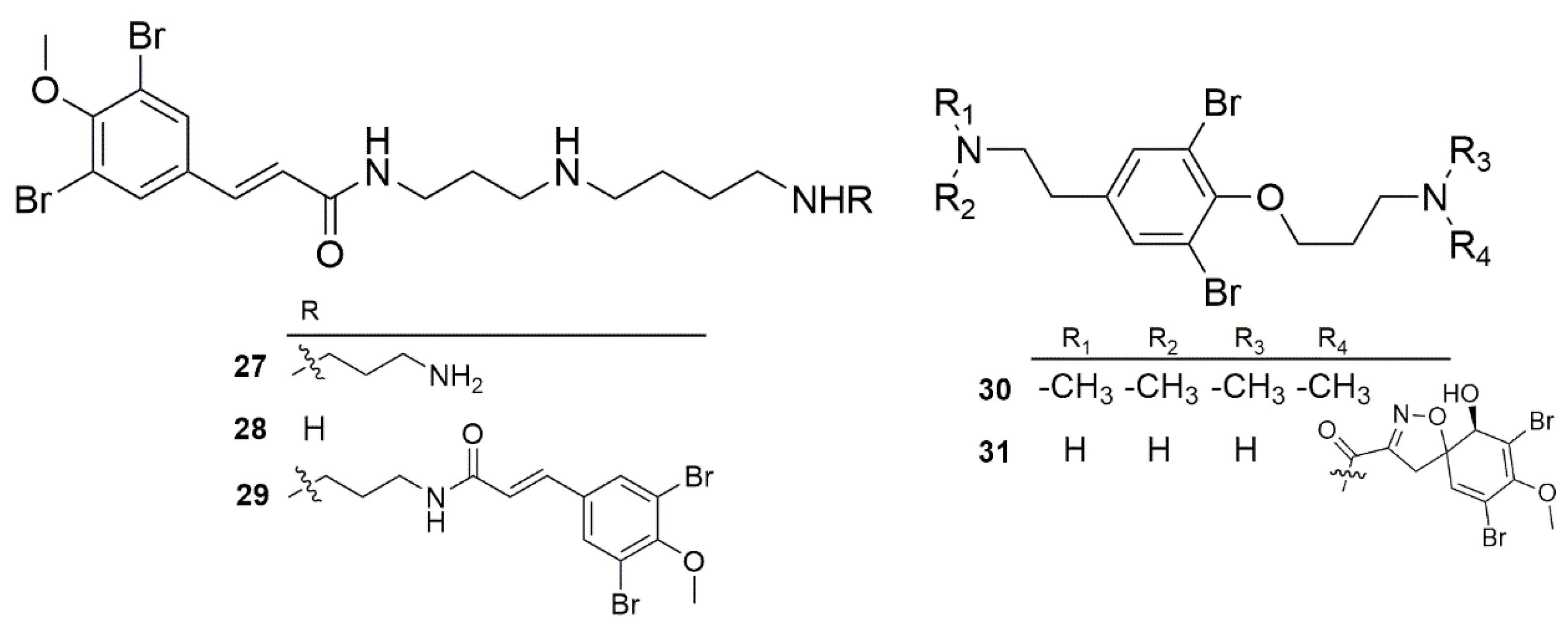 Marinedrugs 23 00043 g007