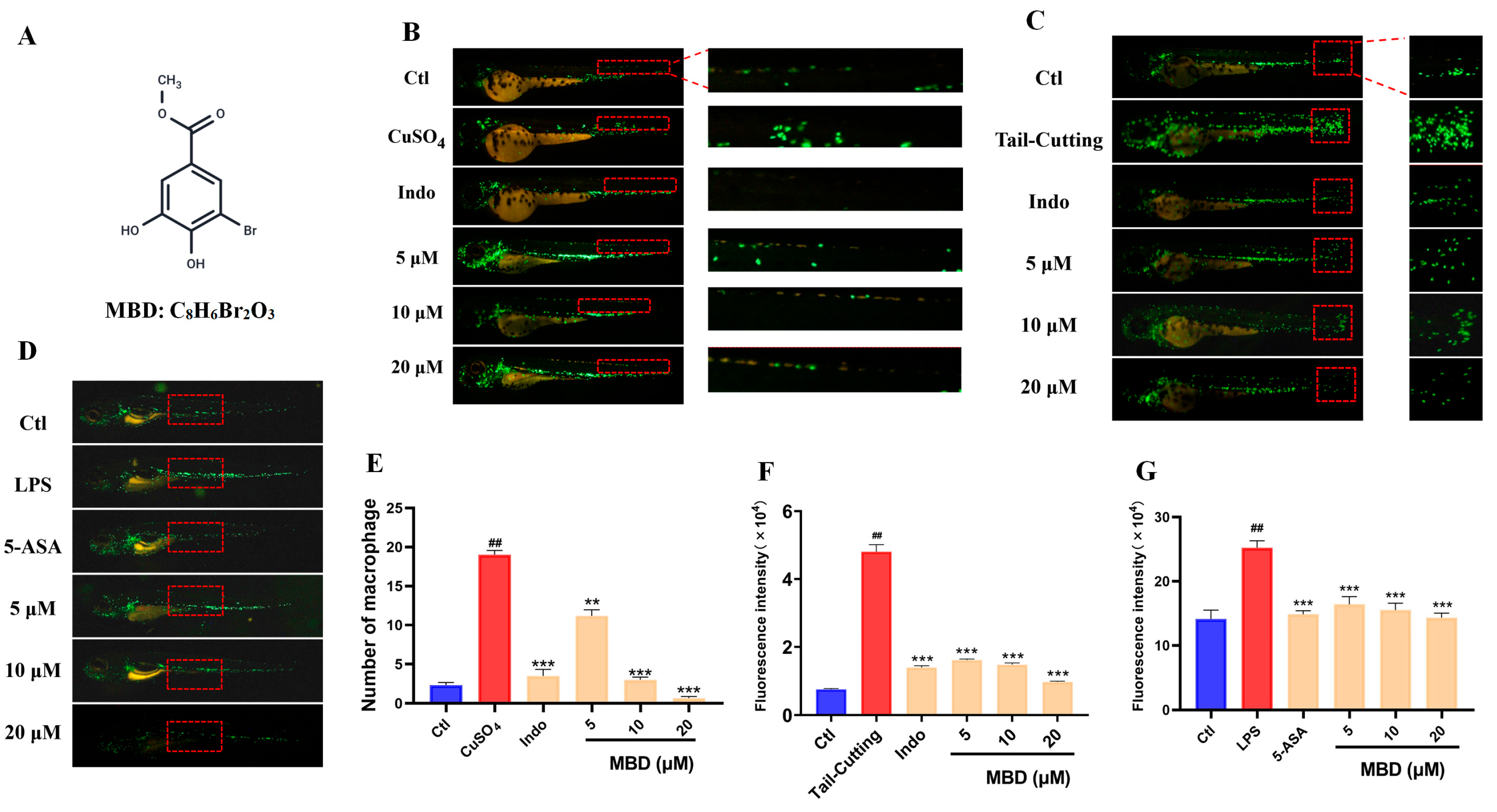 Marinedrugs 23 00047 g001